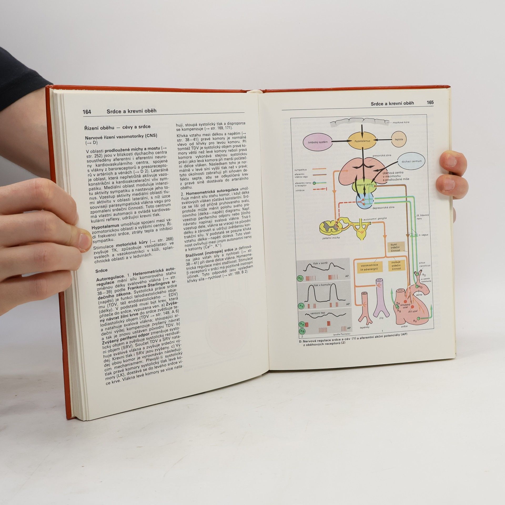 Stefan Silbernagl Atlas fyziologie člověka