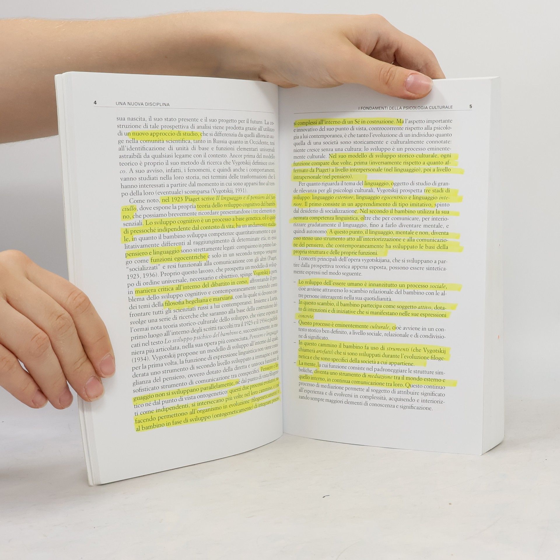 Paolo Maria Inghilleri Manuali di psicologia. Basic: Psicologia culturale