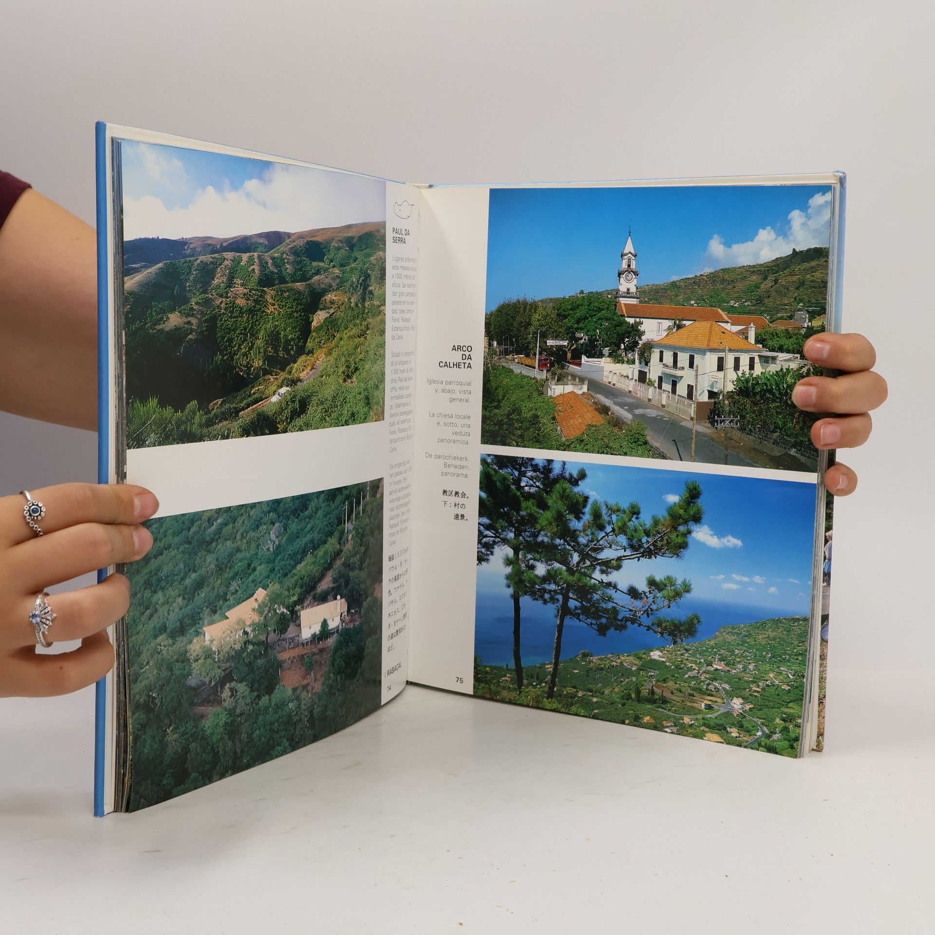 Francisco Ribeiro & Filhos (Firma) Madeira (Ilha de sonho, Il de reve, Island of dream, Trauminsel)