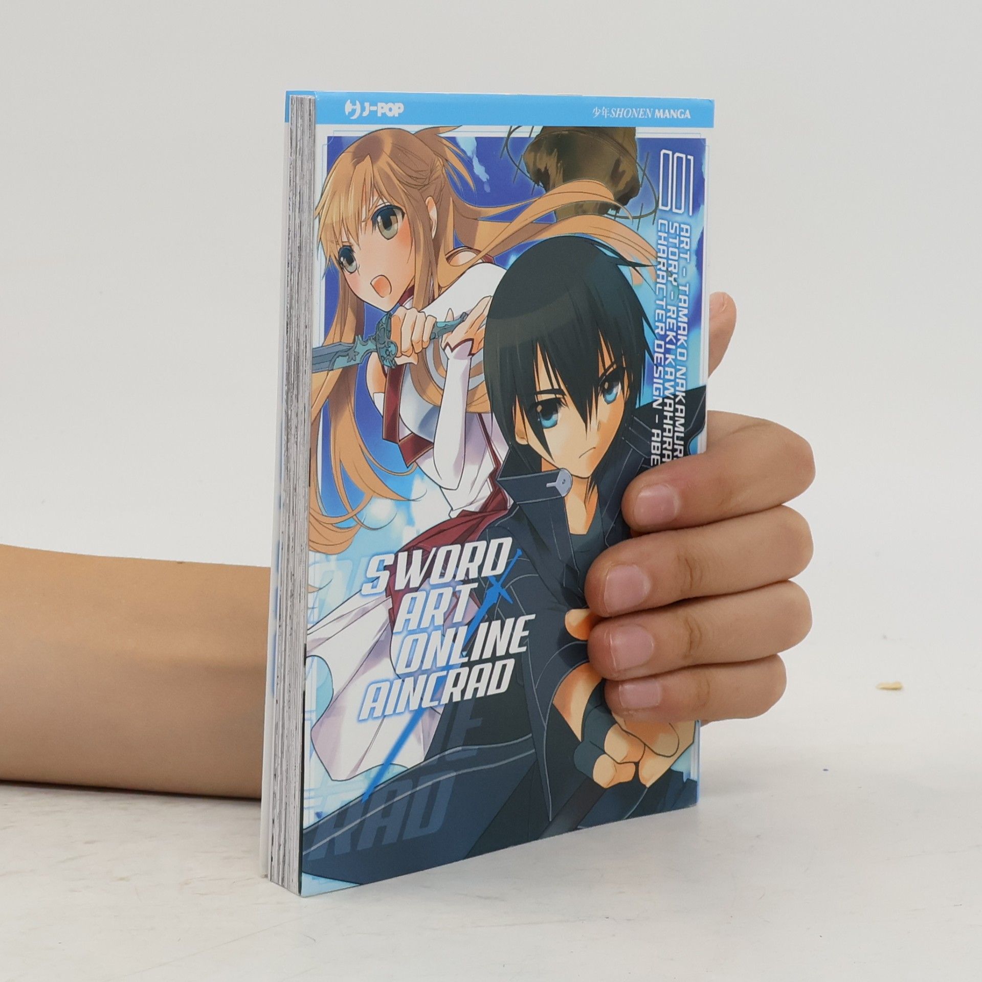 Tamako Nakamura Sword Art Online Aincrad