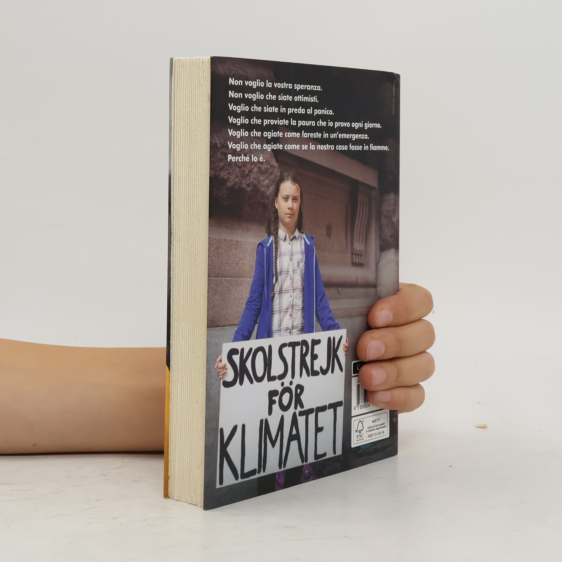 Greta Thunberg Strade Blu: La nostra casa è in fiamme