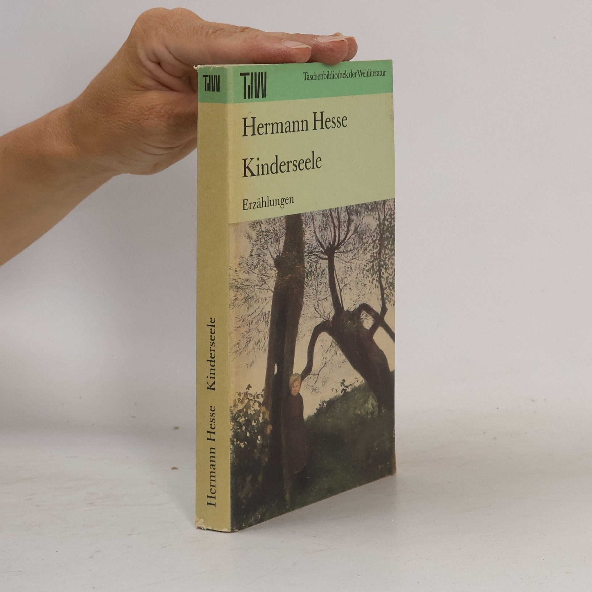 Hermann Hesse Kinderseele : Erzählungen