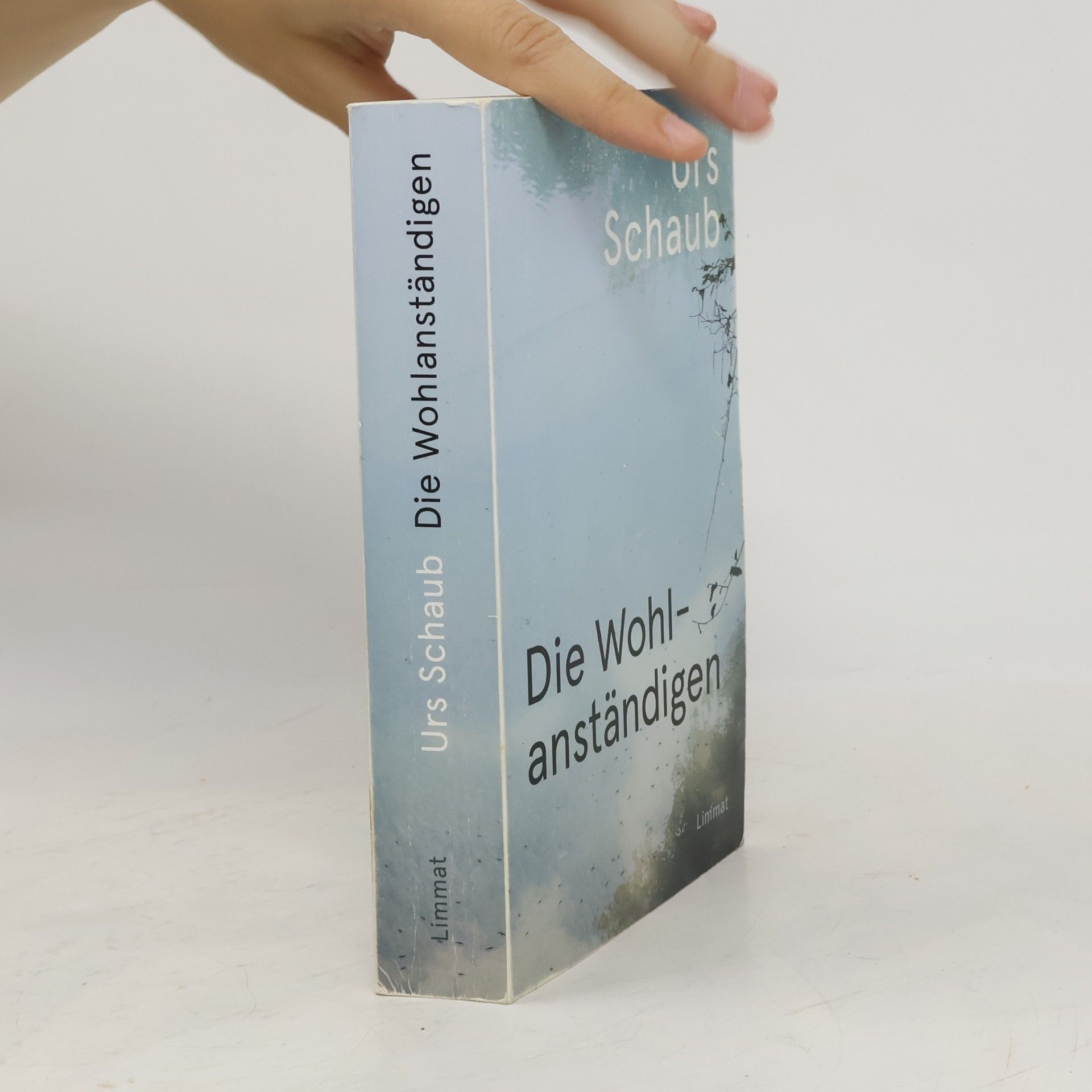 Urs Schaub Die Wohlanständigen