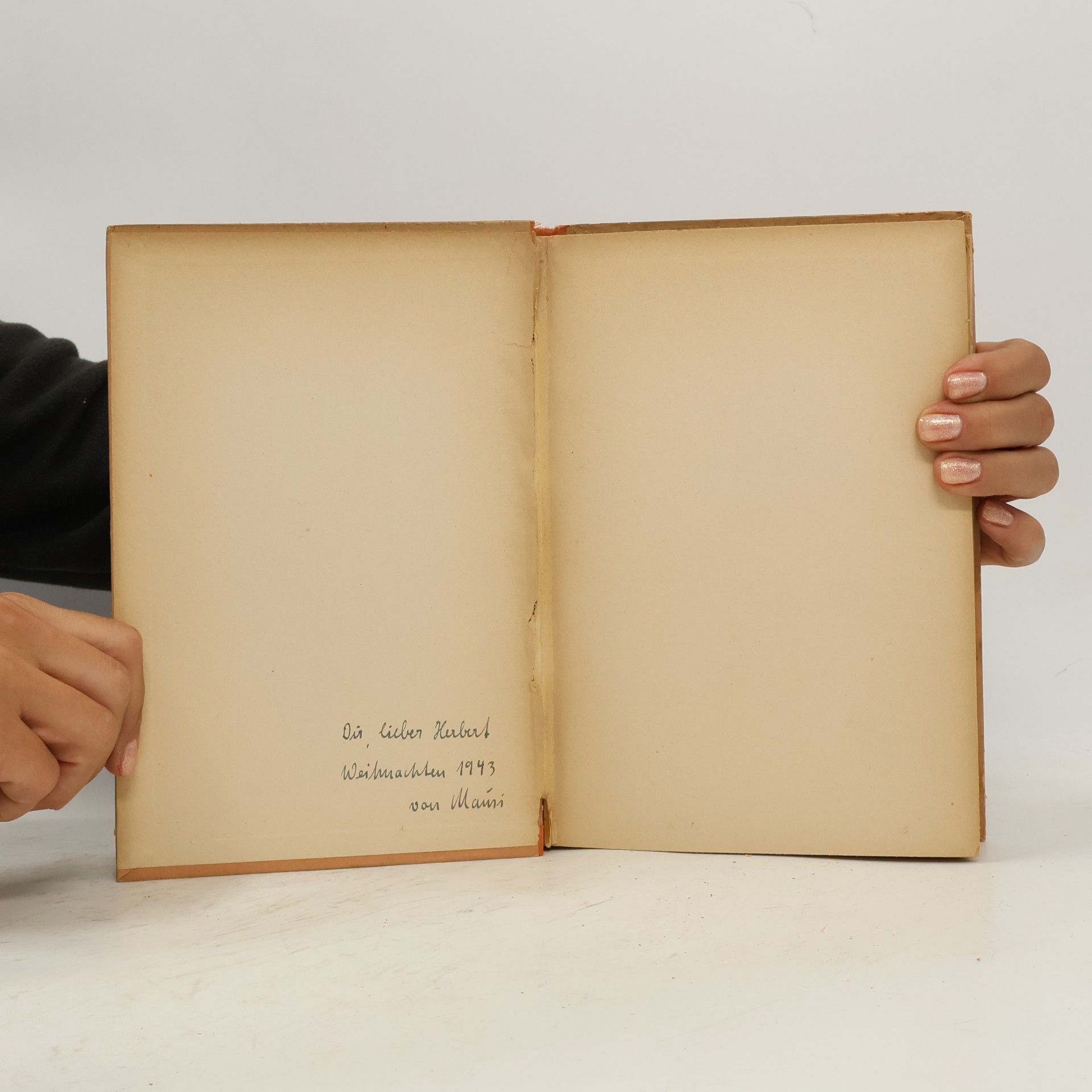 Heinrich Kluth Wunder in Stahl und Stein