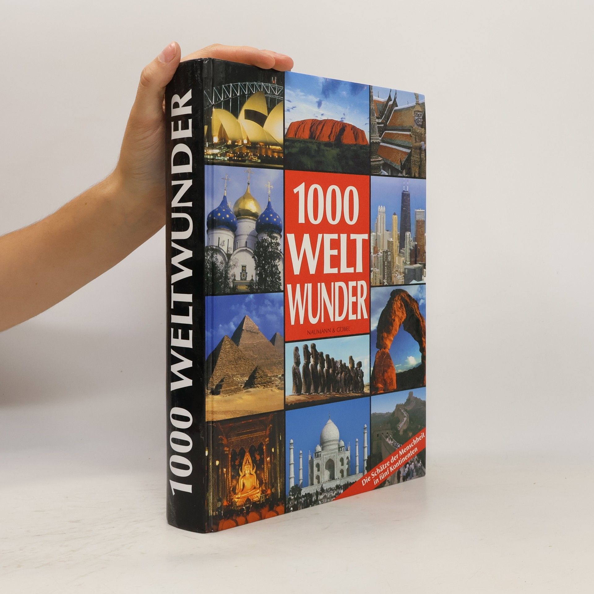 Kolektiv autorů 1000 Weltwunder