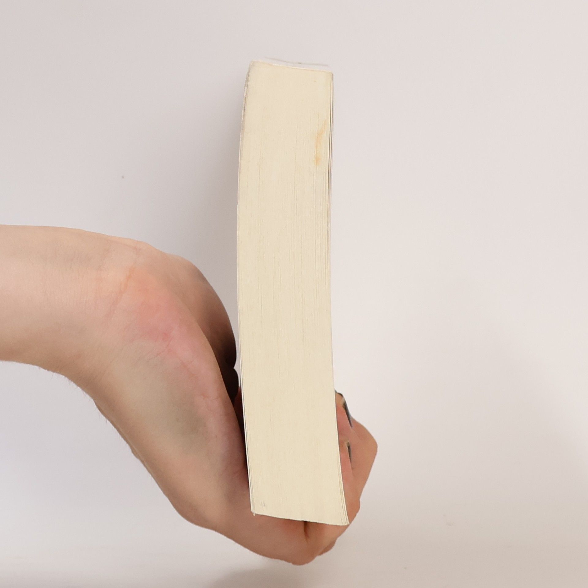 Anne Tyler Tag der Ankunft