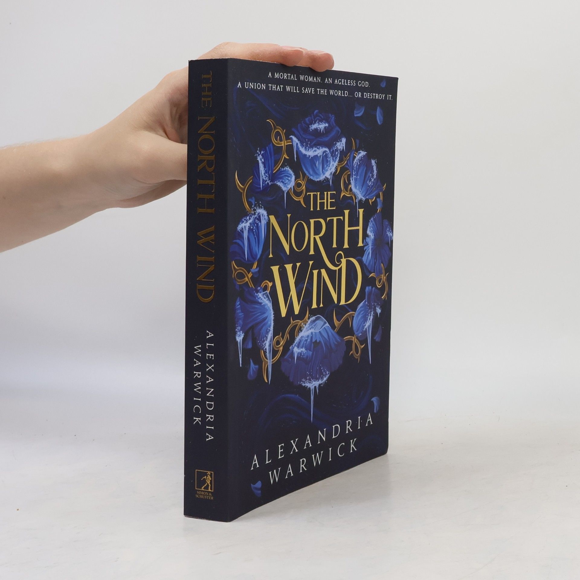 Alexandria Warwick The North Wind: The TikTok sensation! An enthralling enemies-to-lovers romantasy, the first in the Four Winds series