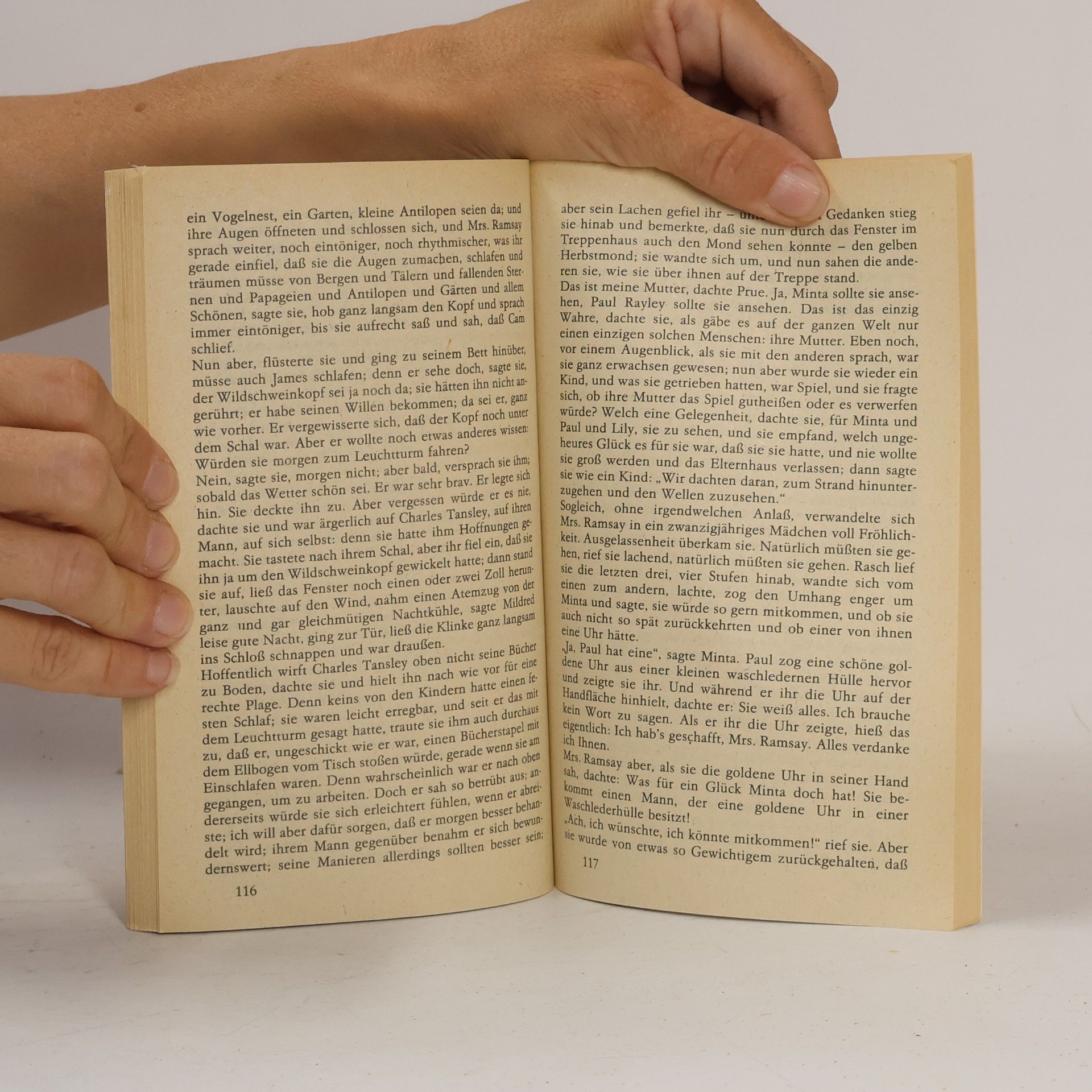 Virginia Woolf Die Fahrt zum Leuchtturm
