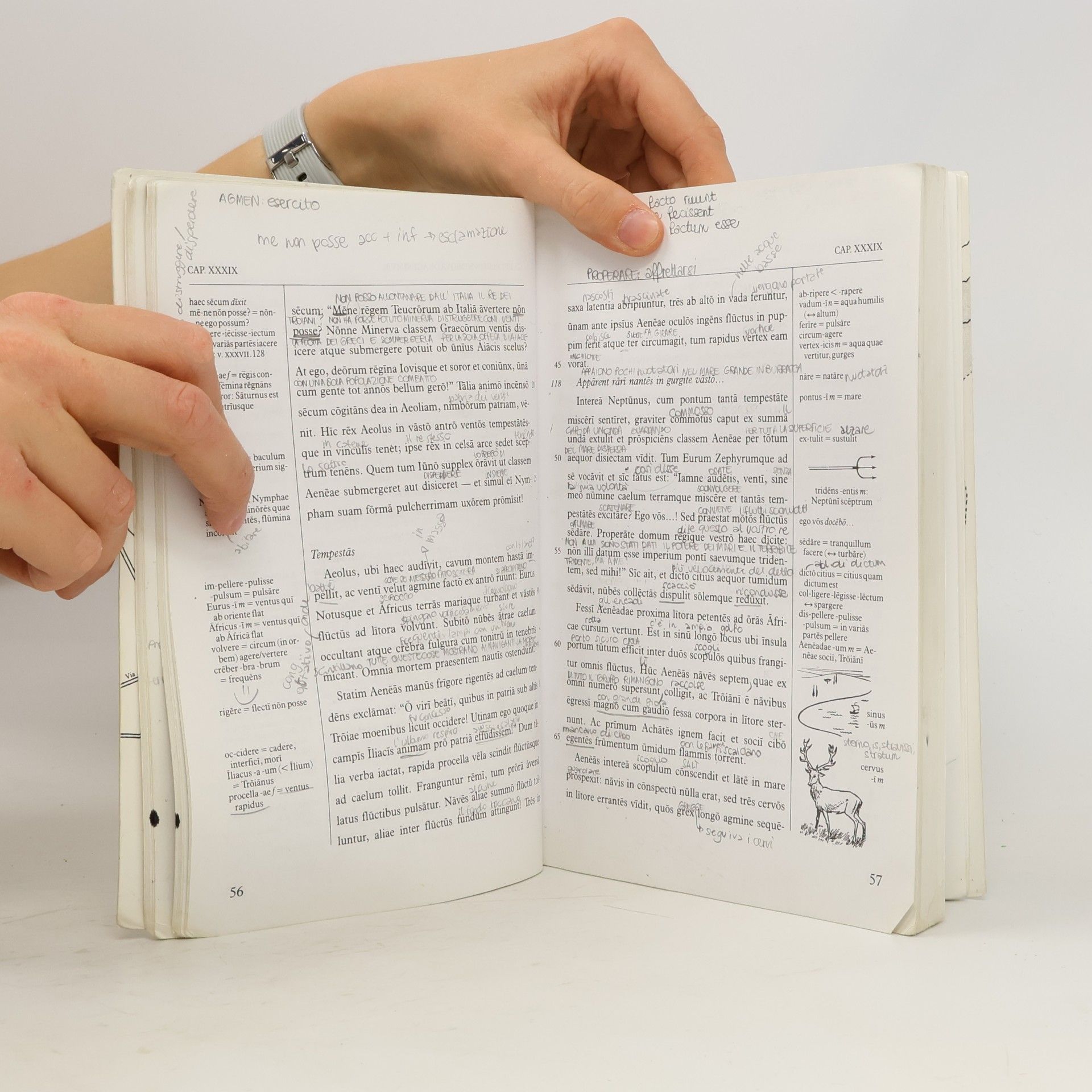 Hans Henning Ørberg Lingua Latina per se illustrata, pars II