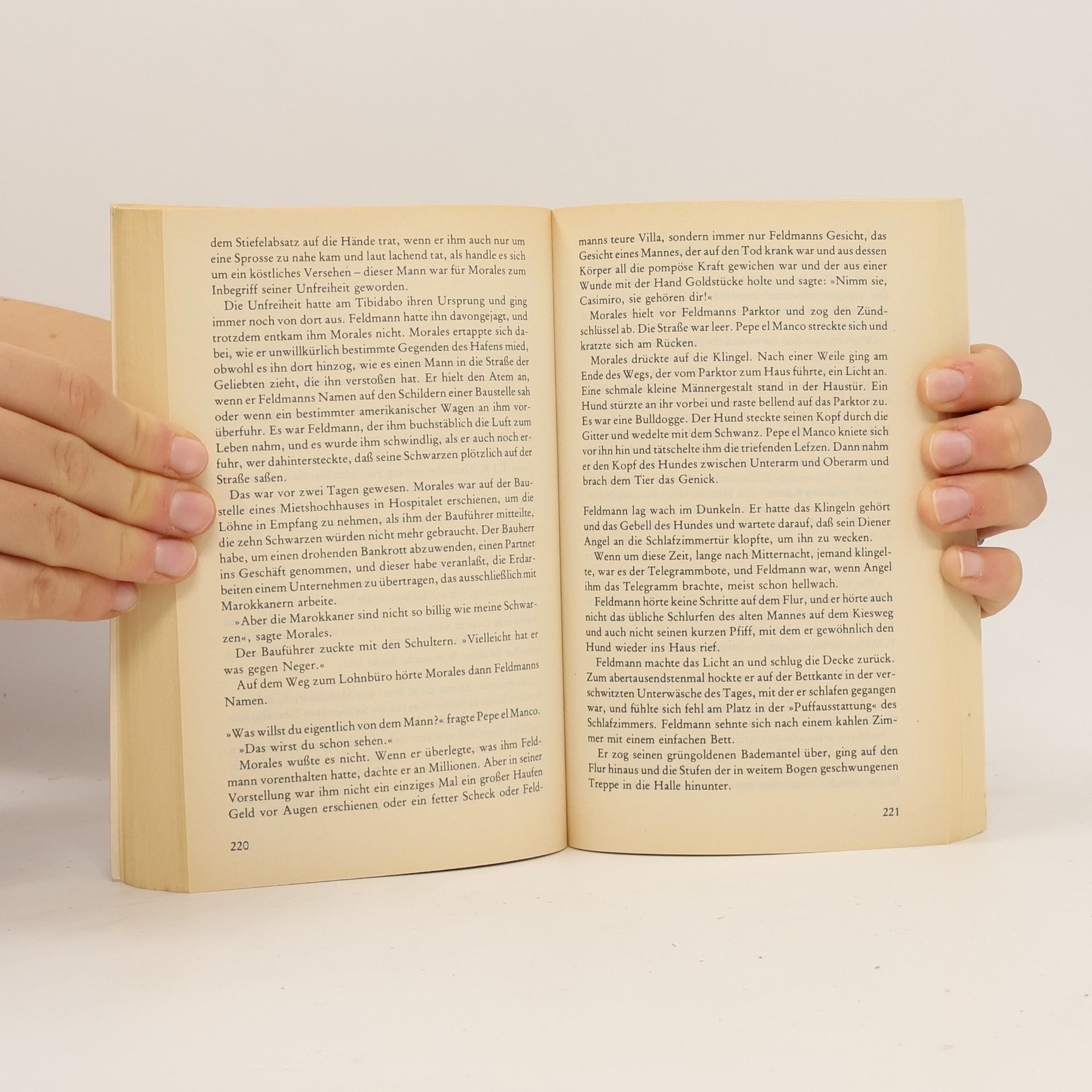 Consuelo García Heyne Bücher - 6098: Der Sturz des Albatros