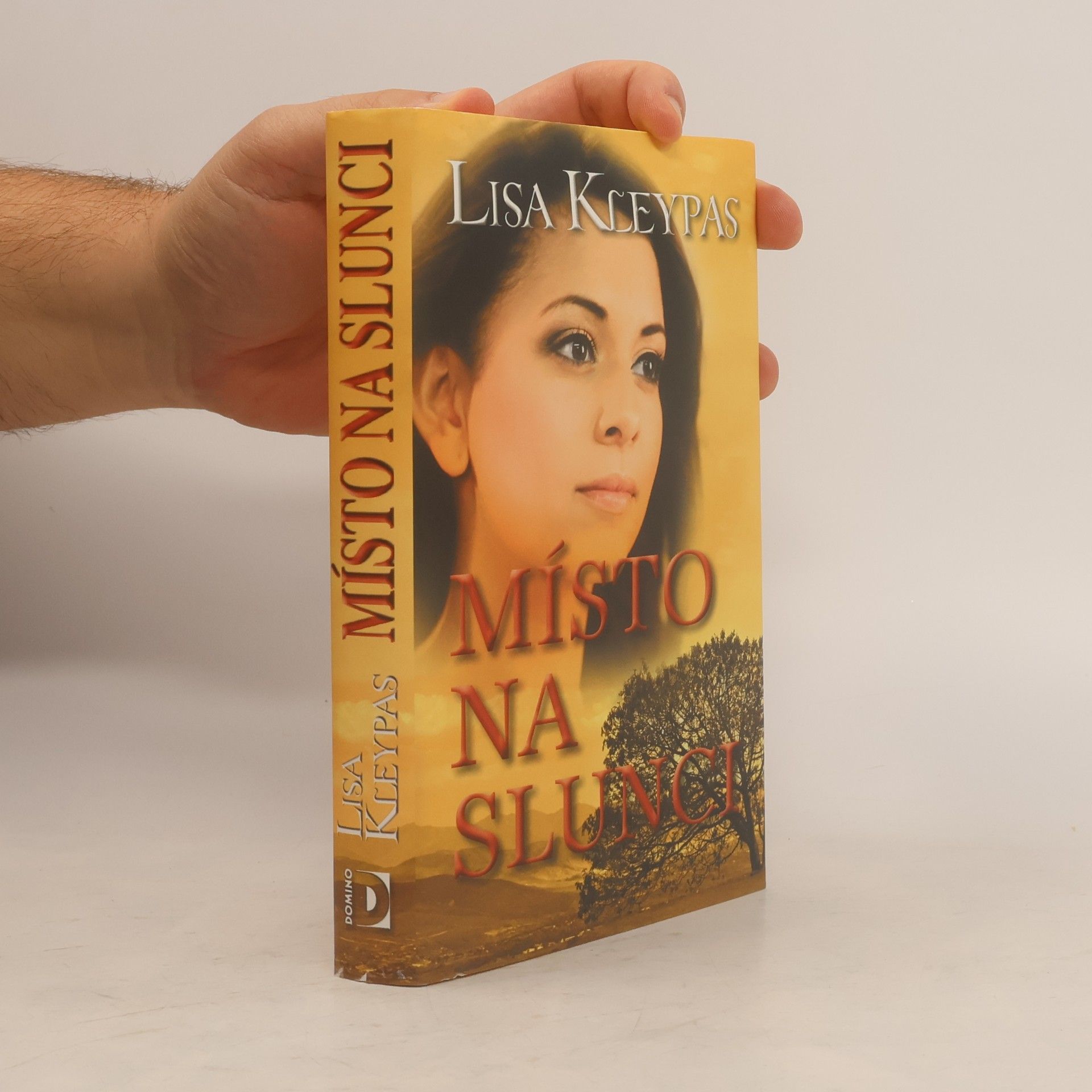 Lisa Kleypas Místo na slunci