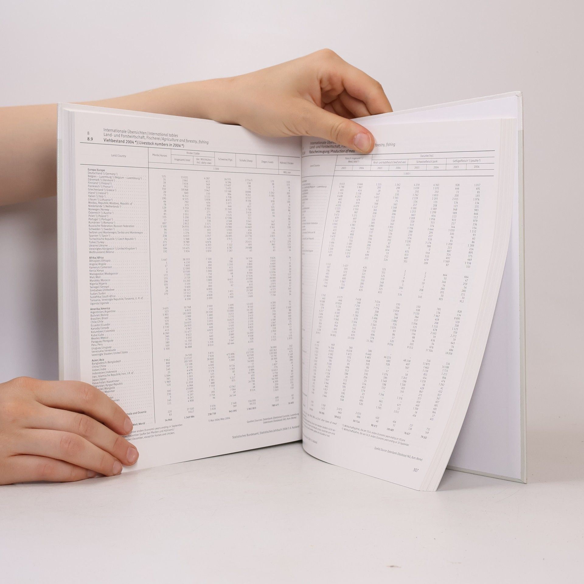 Statistisches Jahrbuch für das Ausland 2006: Dt. /Engl.
