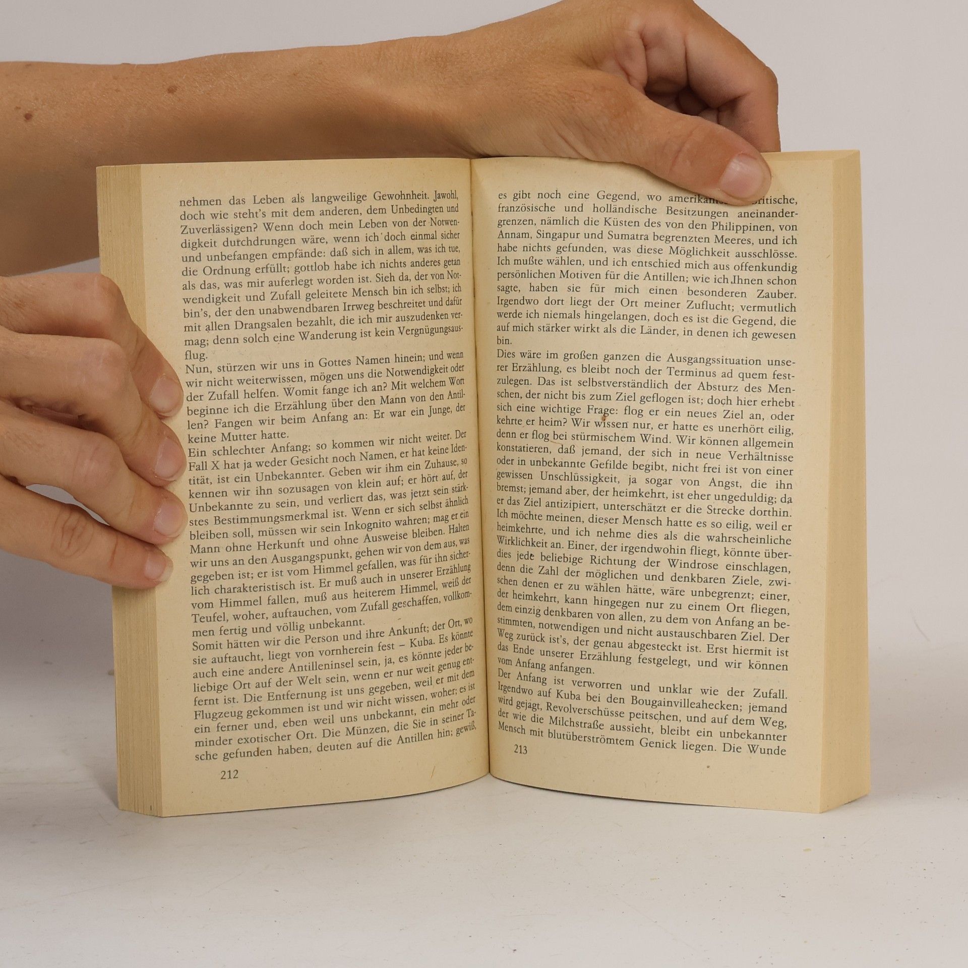 Karel Čapek Hordubal. Der Meteor. Ein gewöhnliches Leben