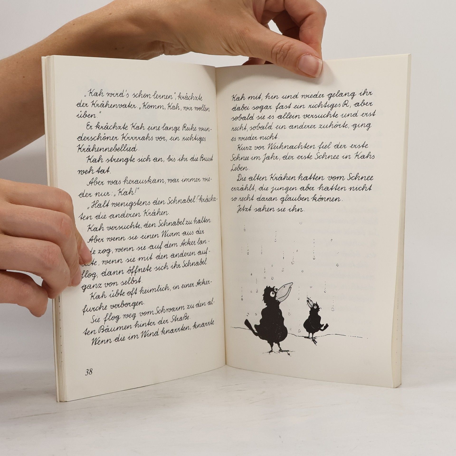 Renate Welsch Schnirkel, das Schneckenkind und andere Tiergeschichten - In Schreibschrift geschrieben