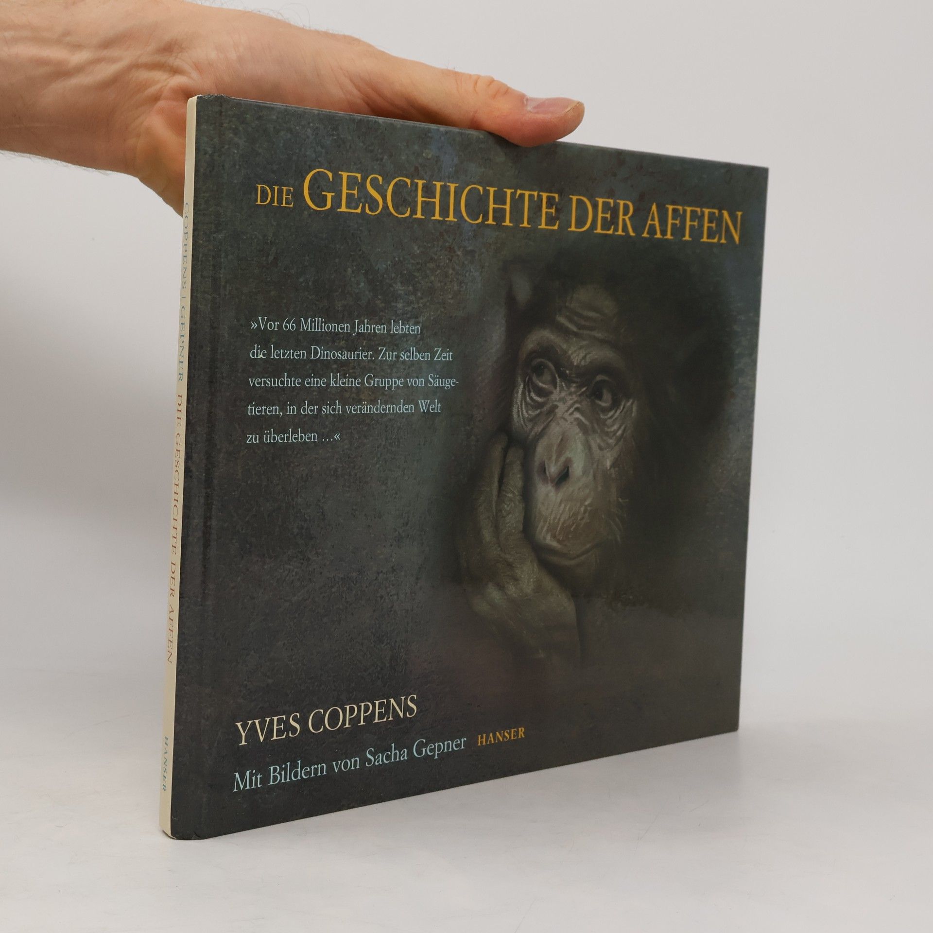 Sacha Gepner Die Geschichte der Affen