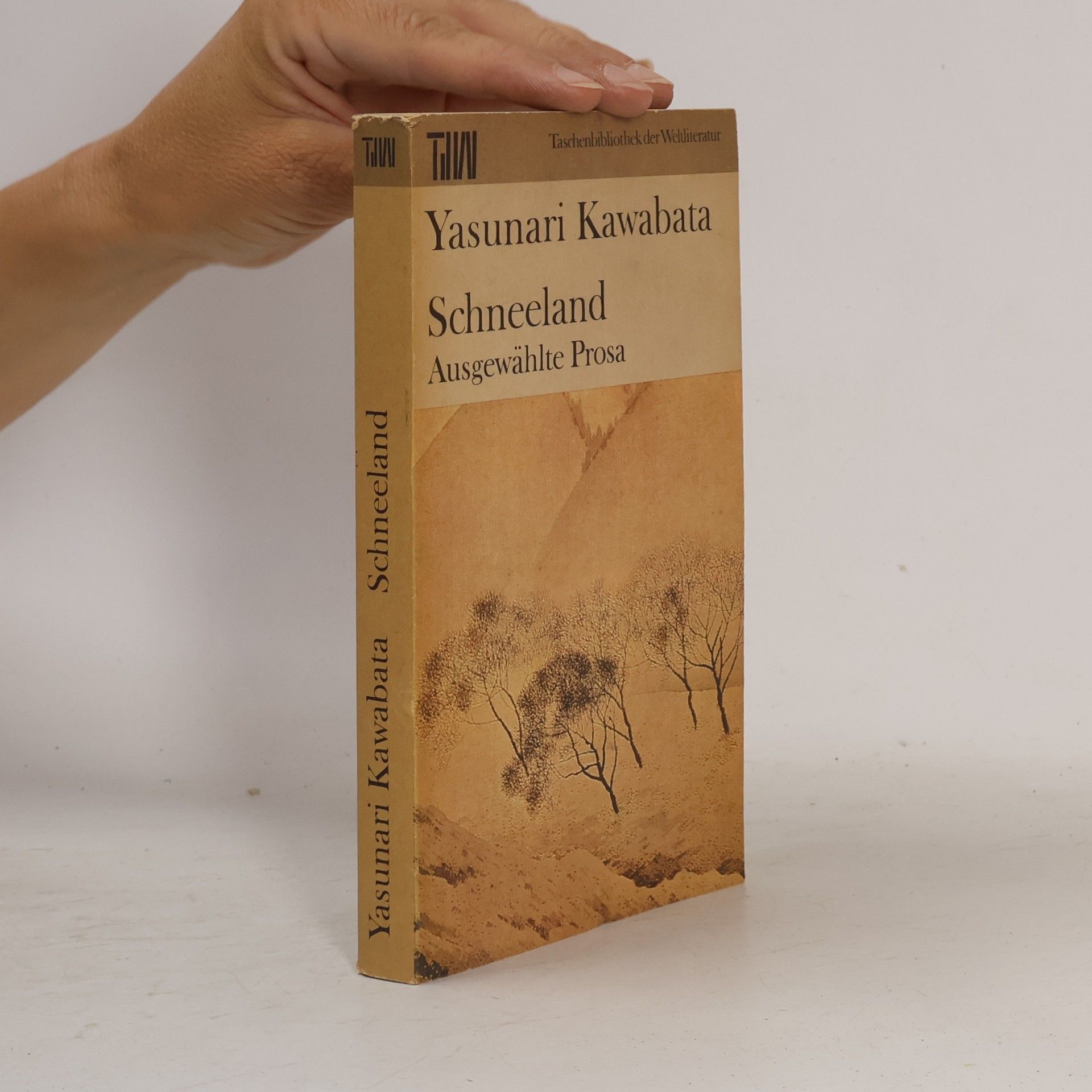 Yasunari Kawabata Schneeland. Ausgewählte Prosa