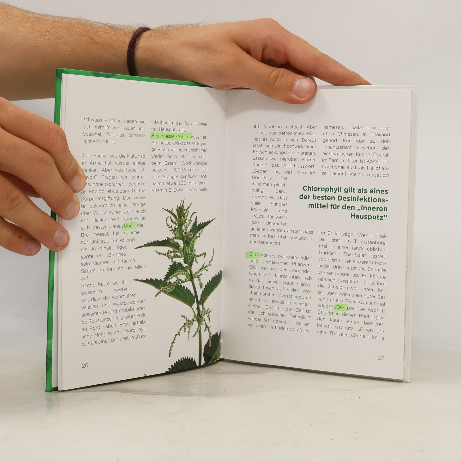 Frank Jester Chlorophyll. Das grüne Blut