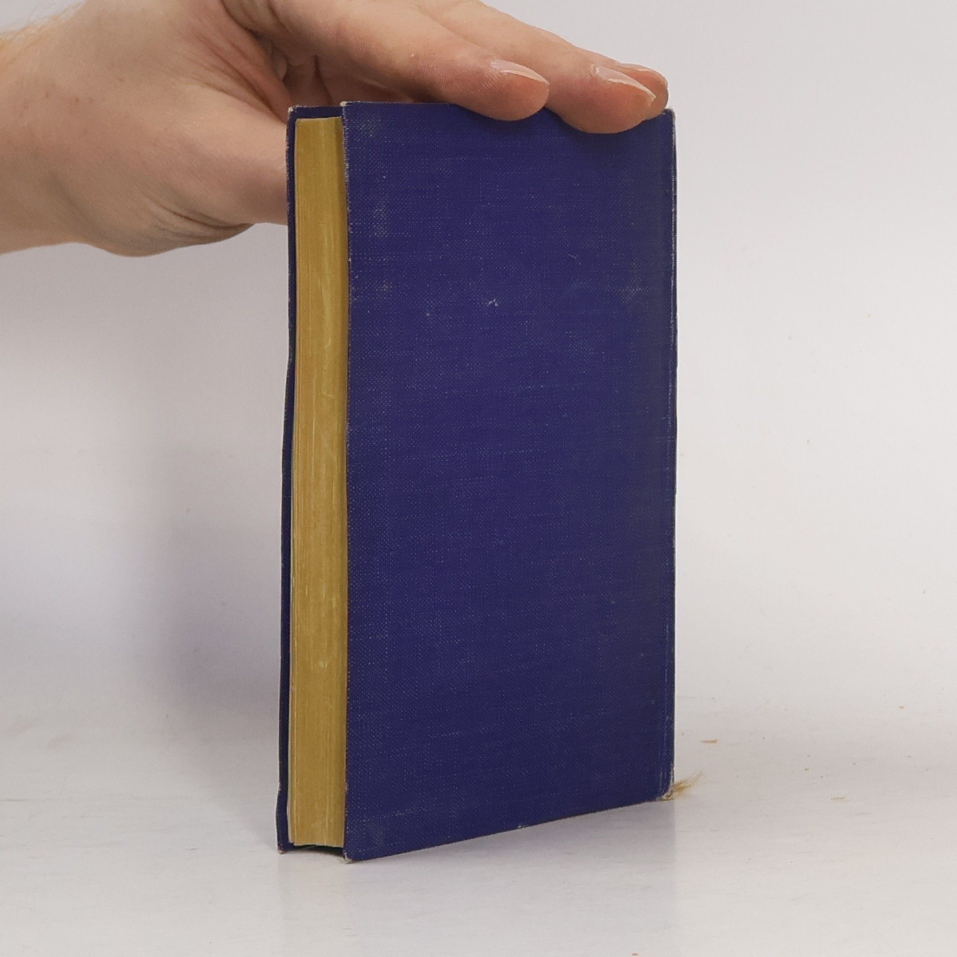 Honoré de Balzac Geschichte der Dreizehn