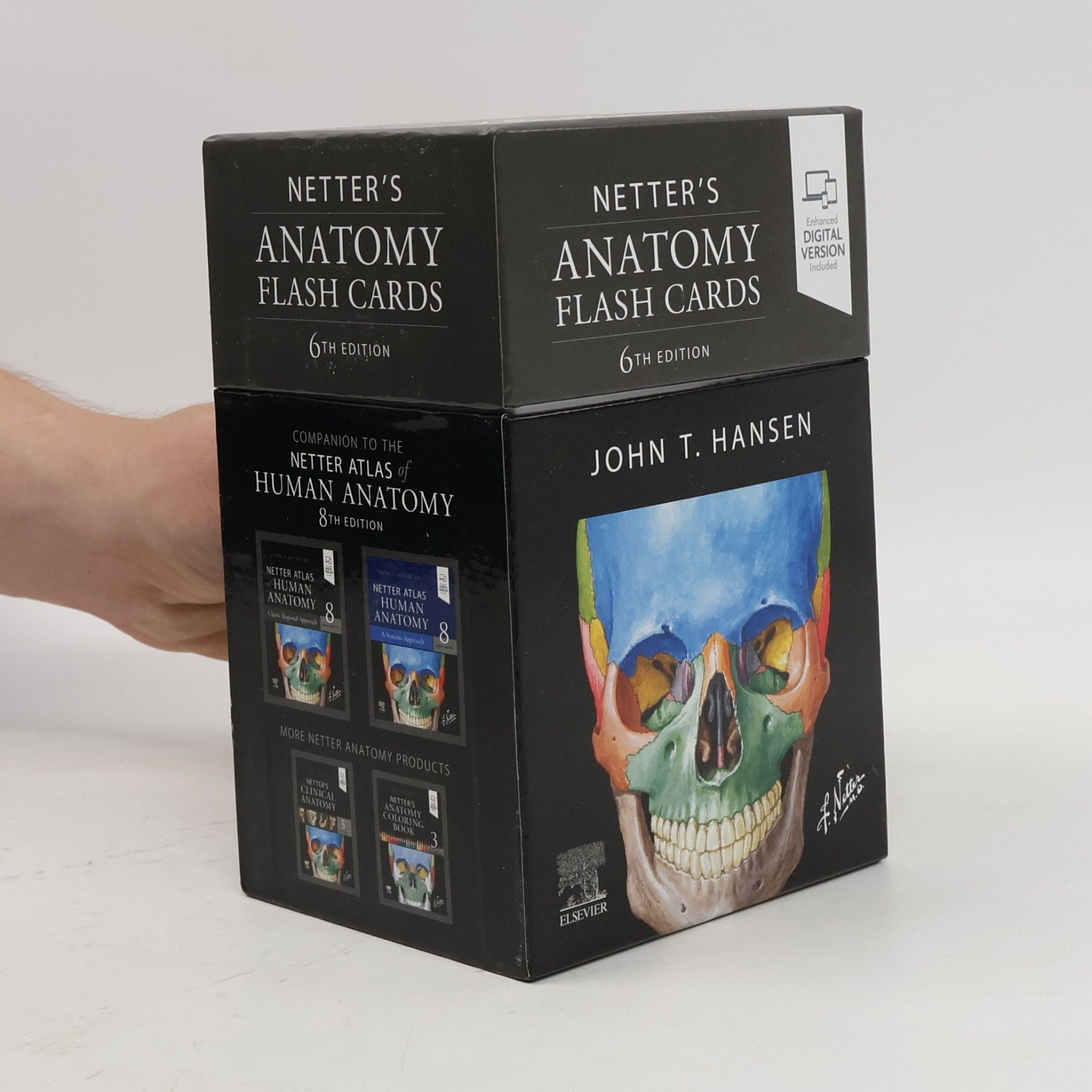 John T. Hansen Netter's Anatomy Flash Cards