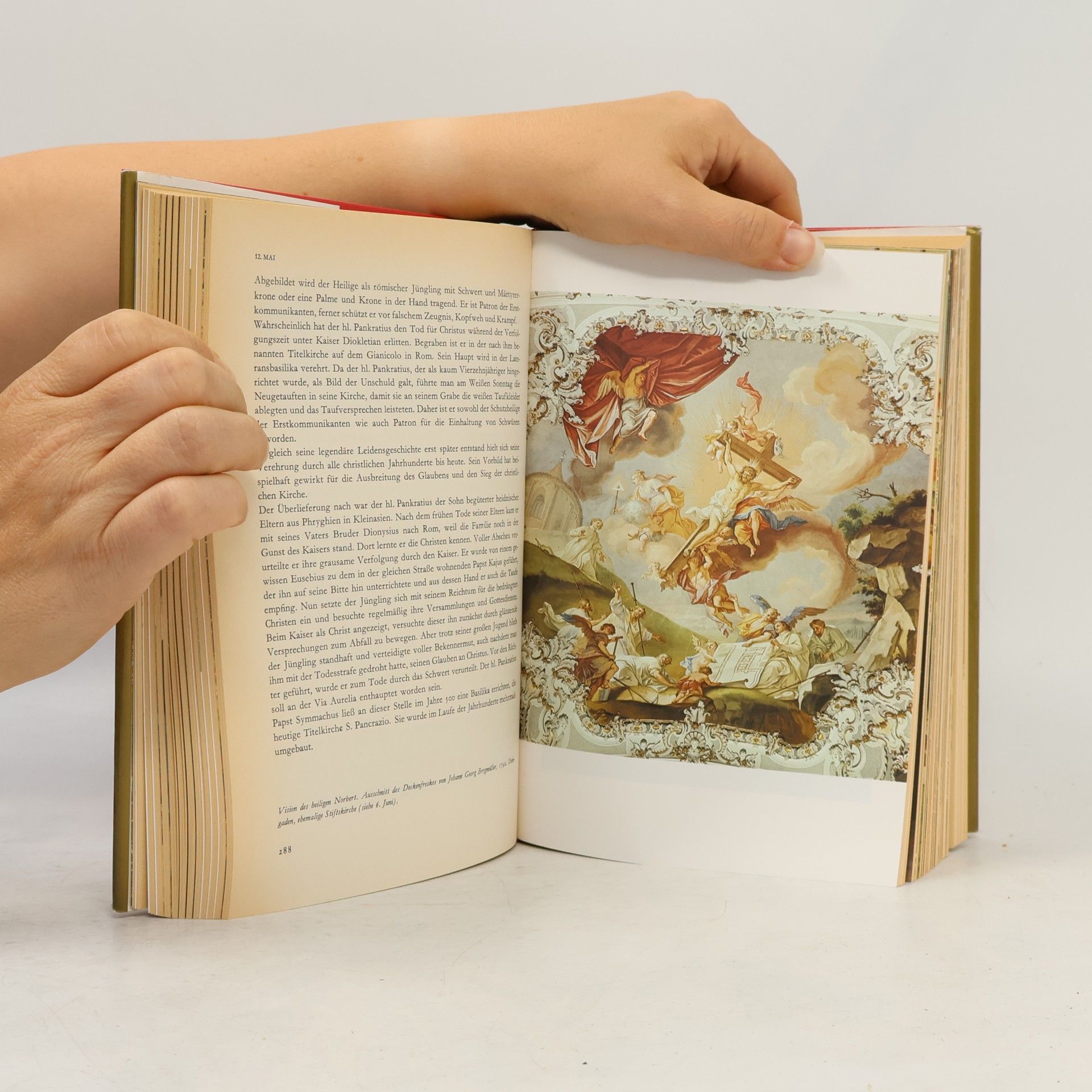 Autorenkollektiv Das grosse Buch der Heiligen. Geschichte und Legende im Jahreslauf