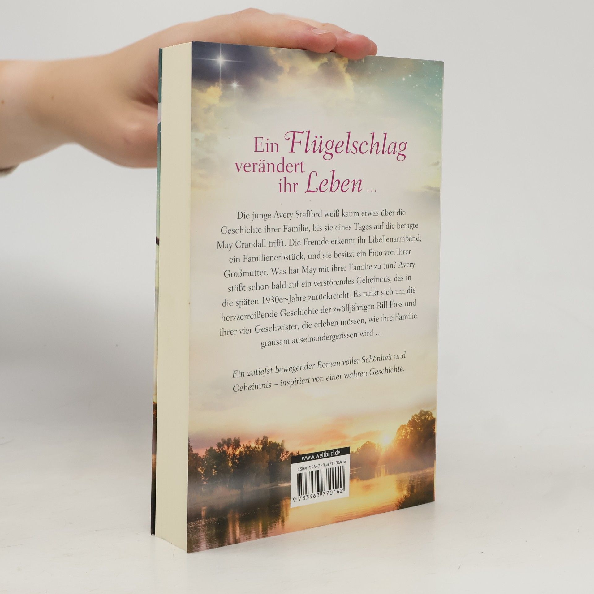 Lisa Wingate Libellenschwestern