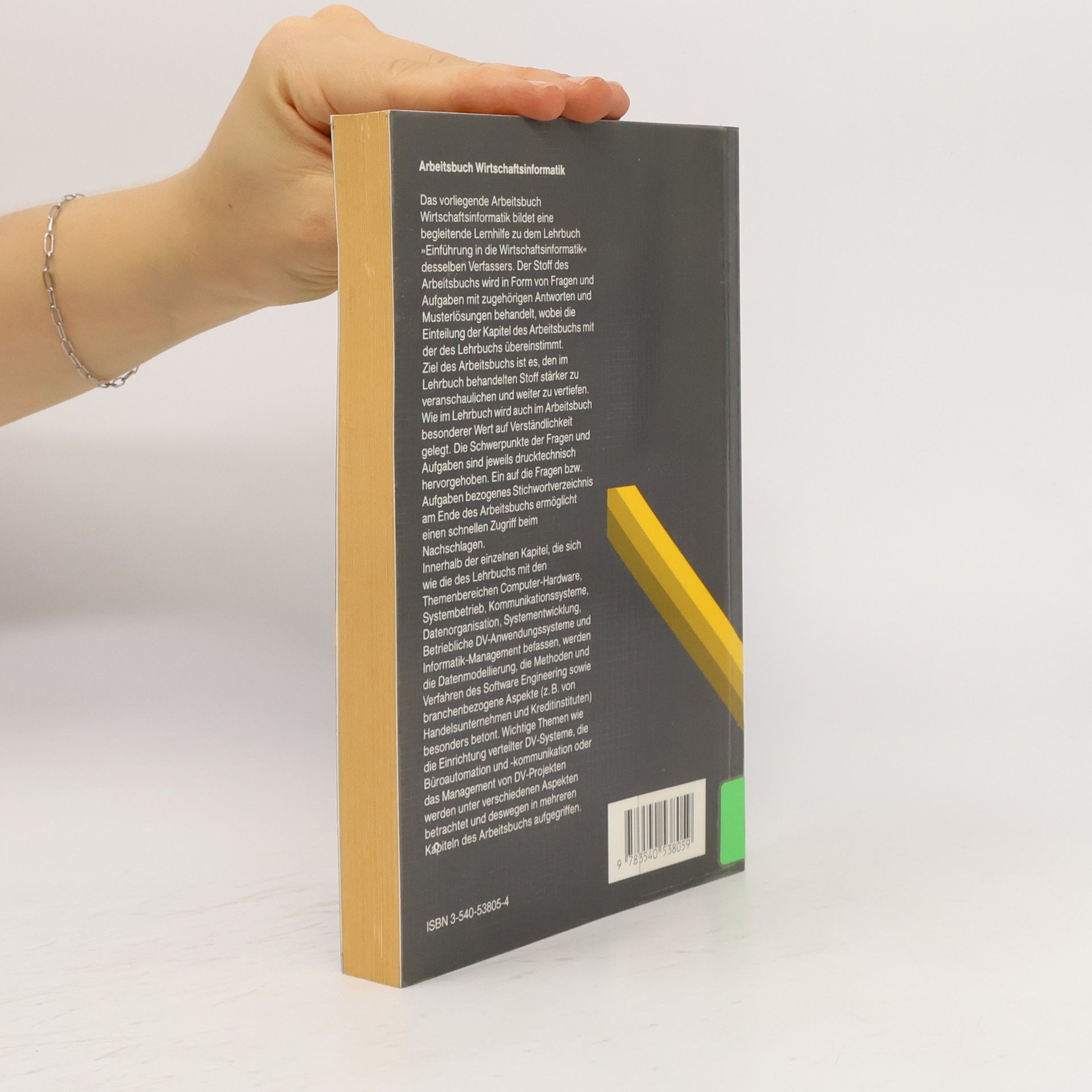 Peter Stahlknecht Arbeitsbuch Wirtschaftsinformatik