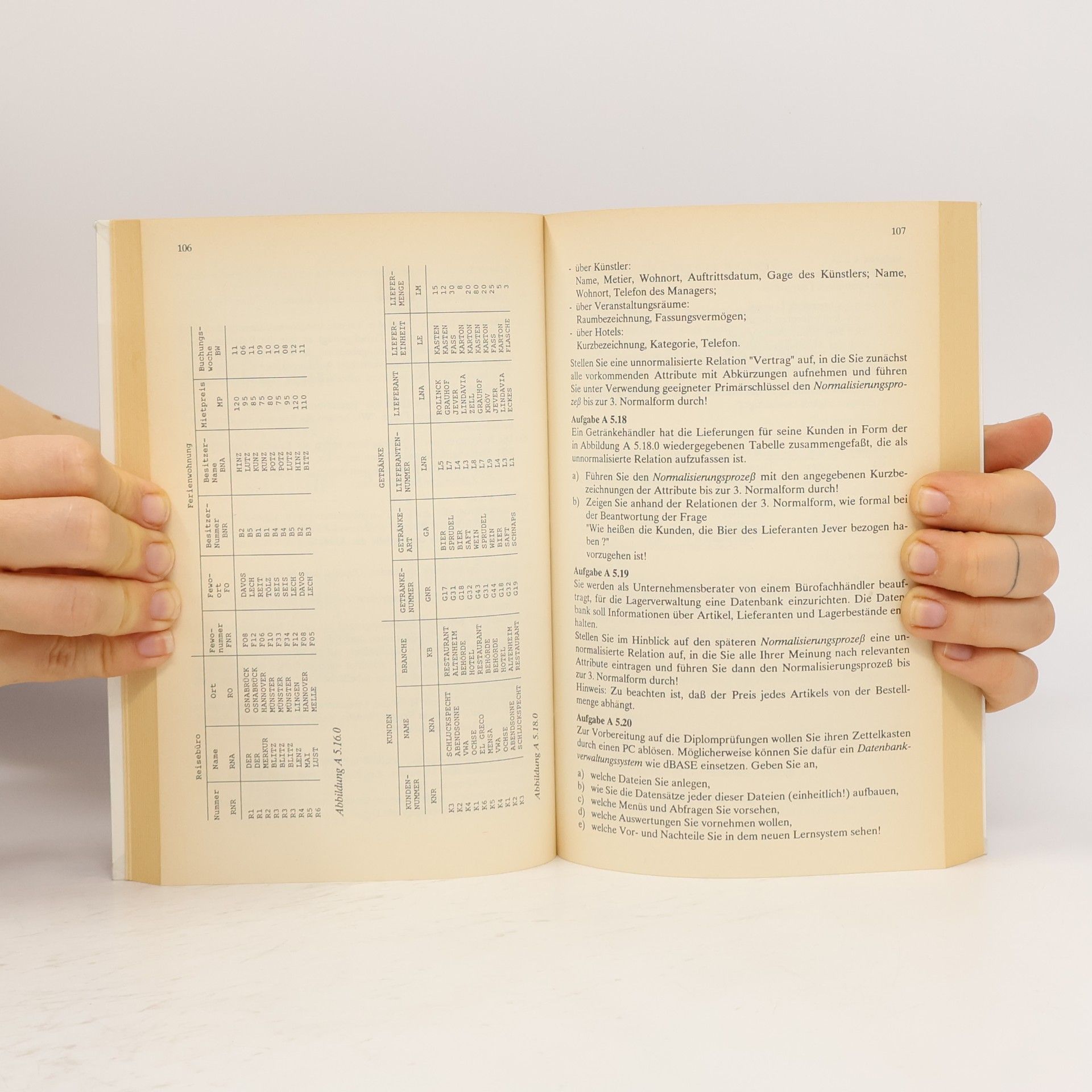 Peter Stahlknecht Arbeitsbuch Wirtschaftsinformatik