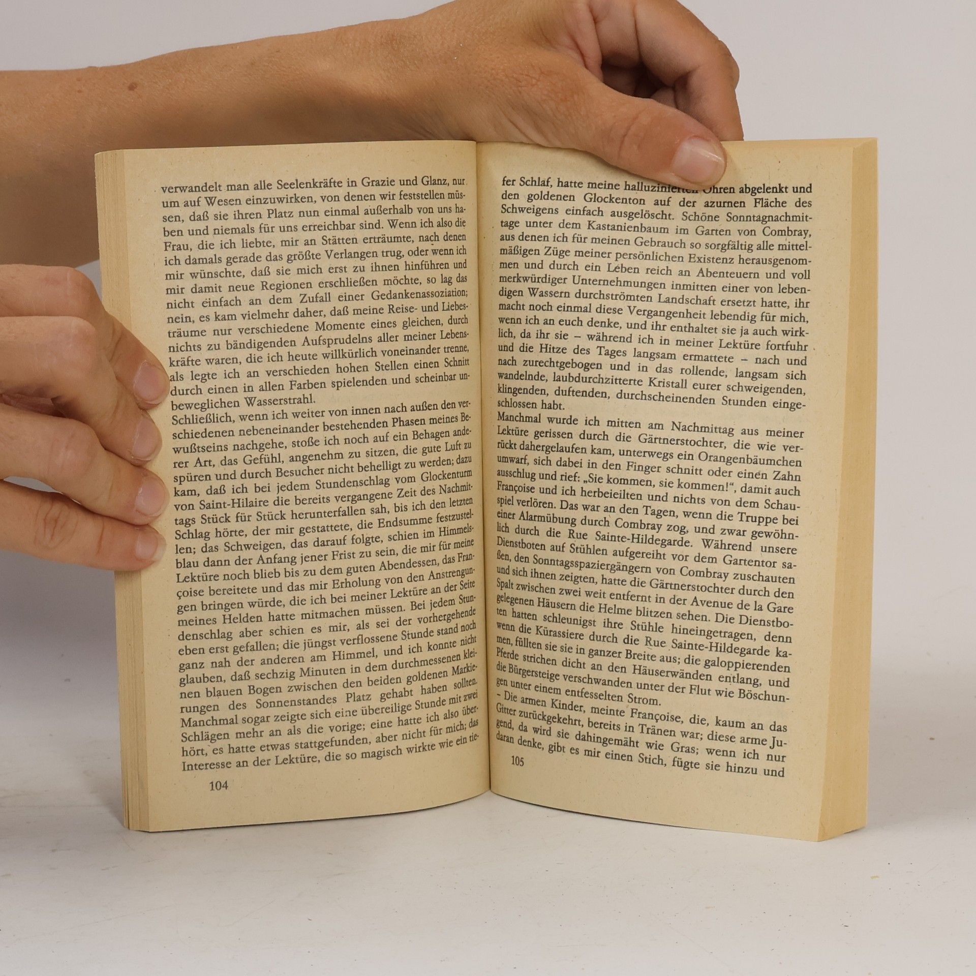Marcel Proust Combray