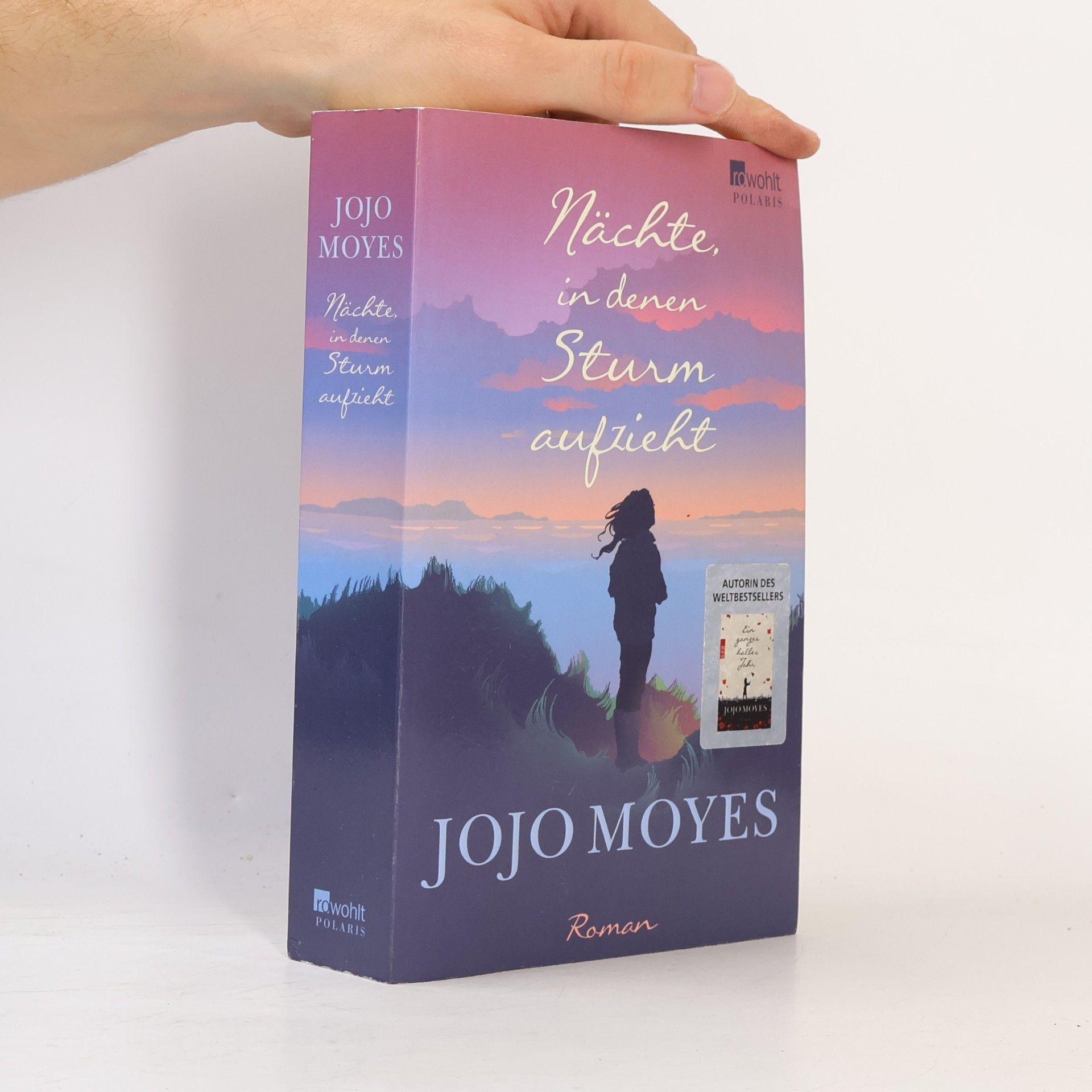 Jojo Moyes Nächte in denen Sturm aufzieht