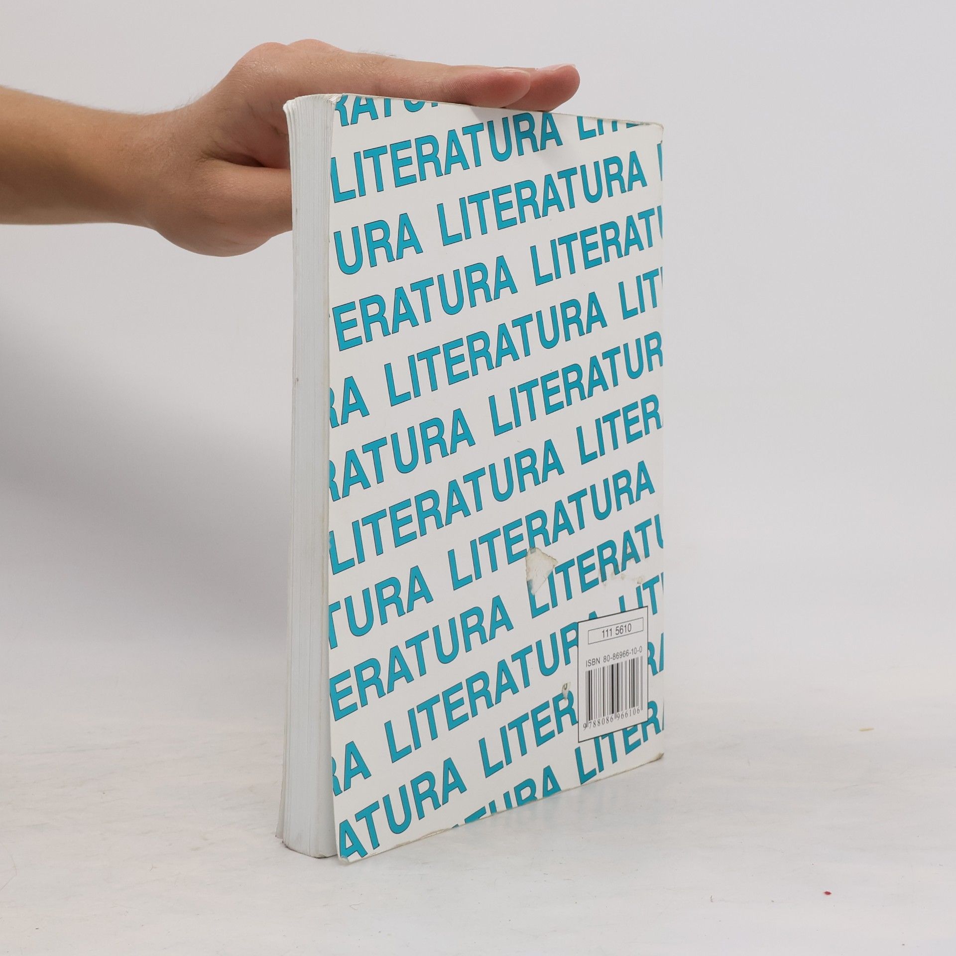 Collectif d'auteurs Literatura I. Výklad, interpretace, literární teorie