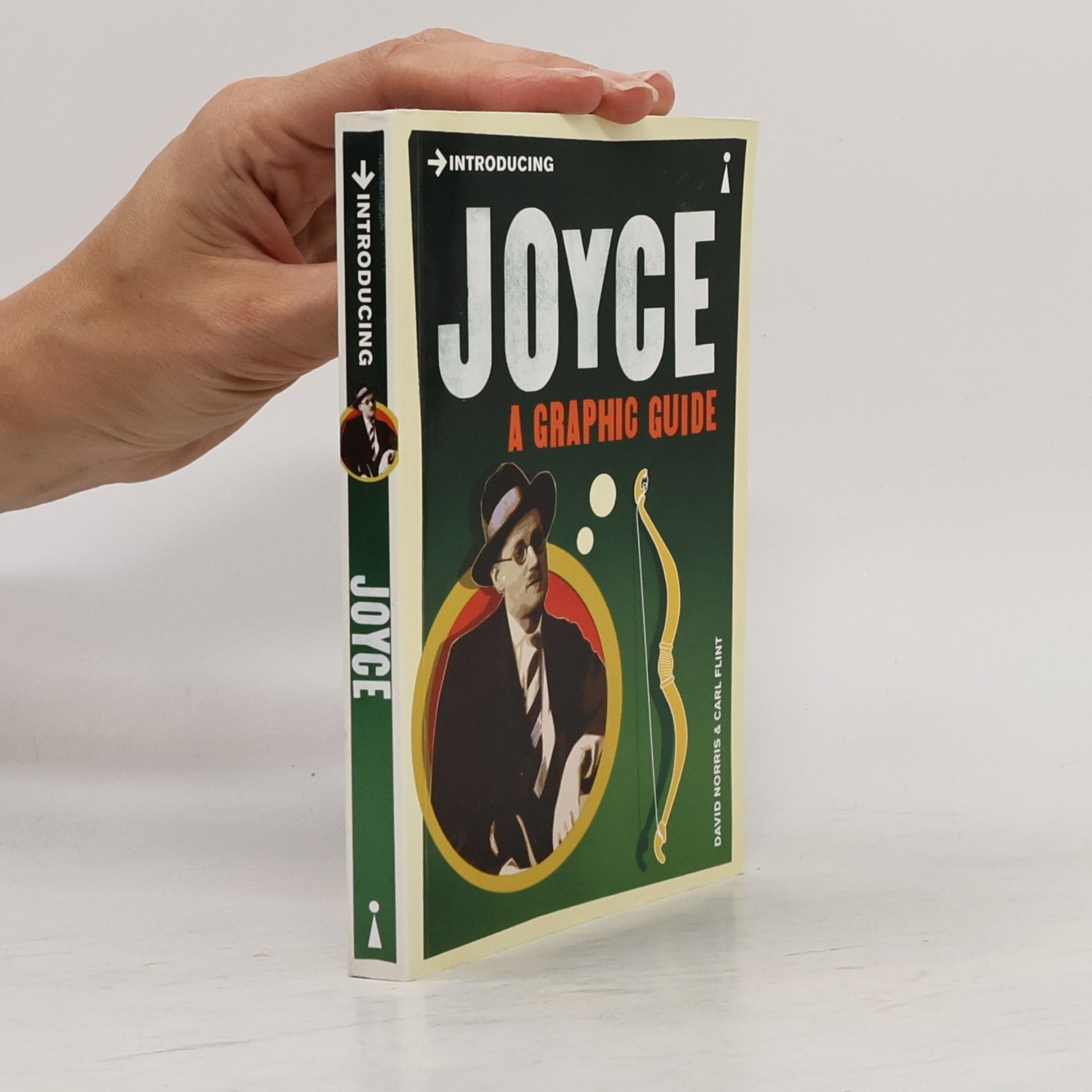 David Norris Introducing Joyce