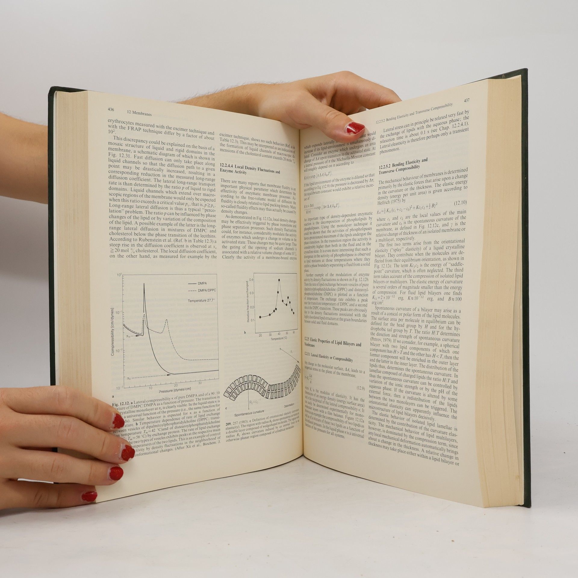 Walter Hoppe Biophysics