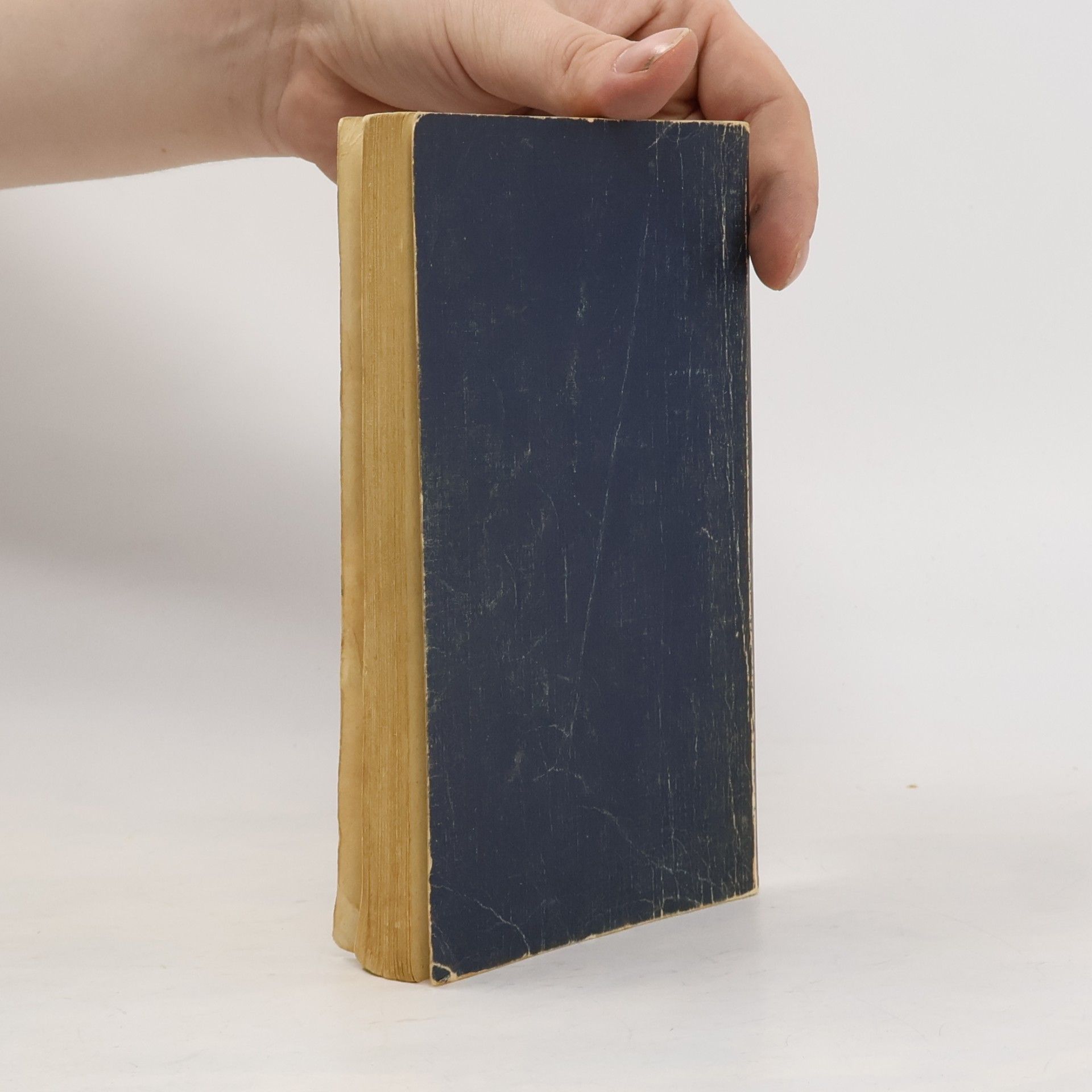 Anne Holden Wahrheit aus zweiter Hand