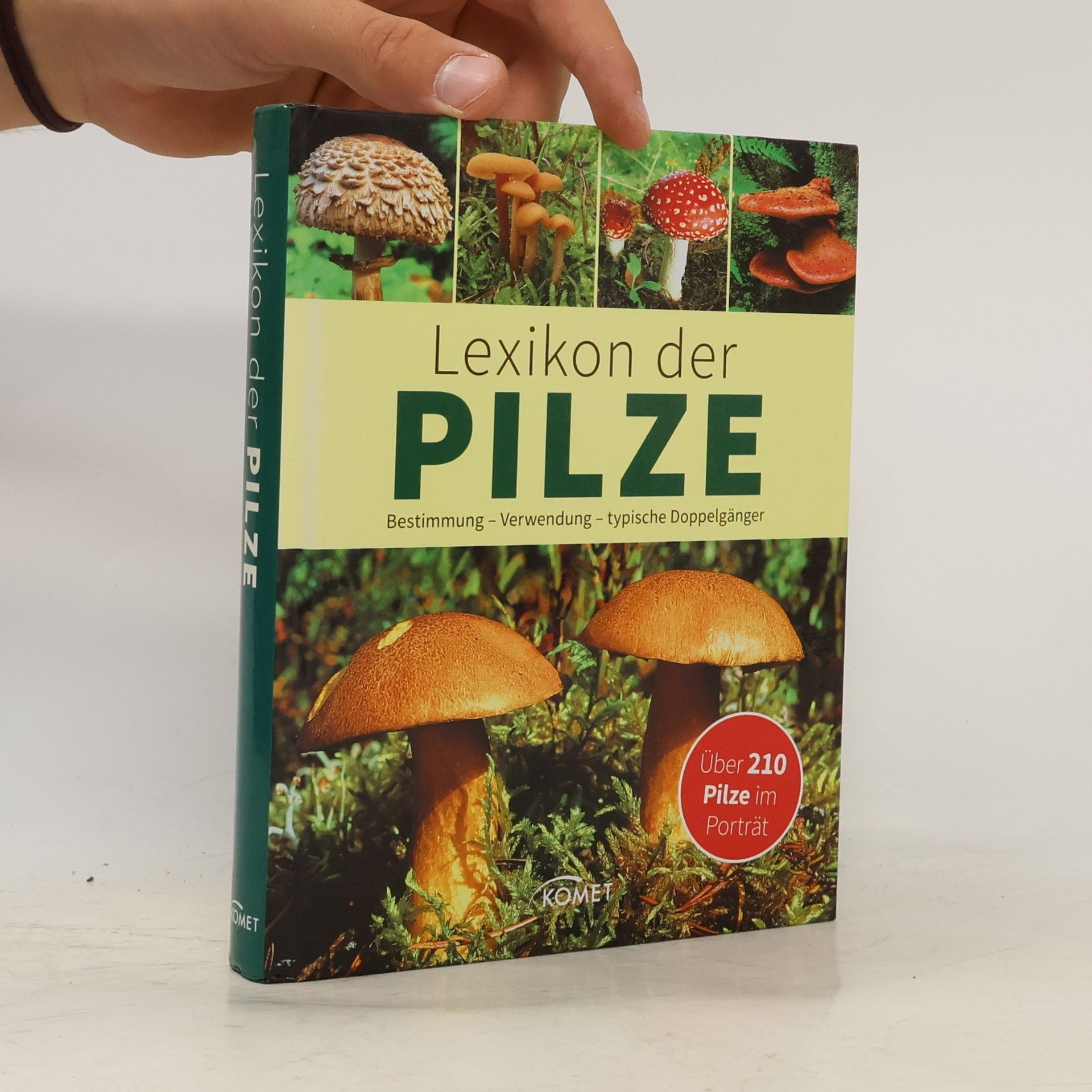 Hans W. Kothe Lexikon der Pilze