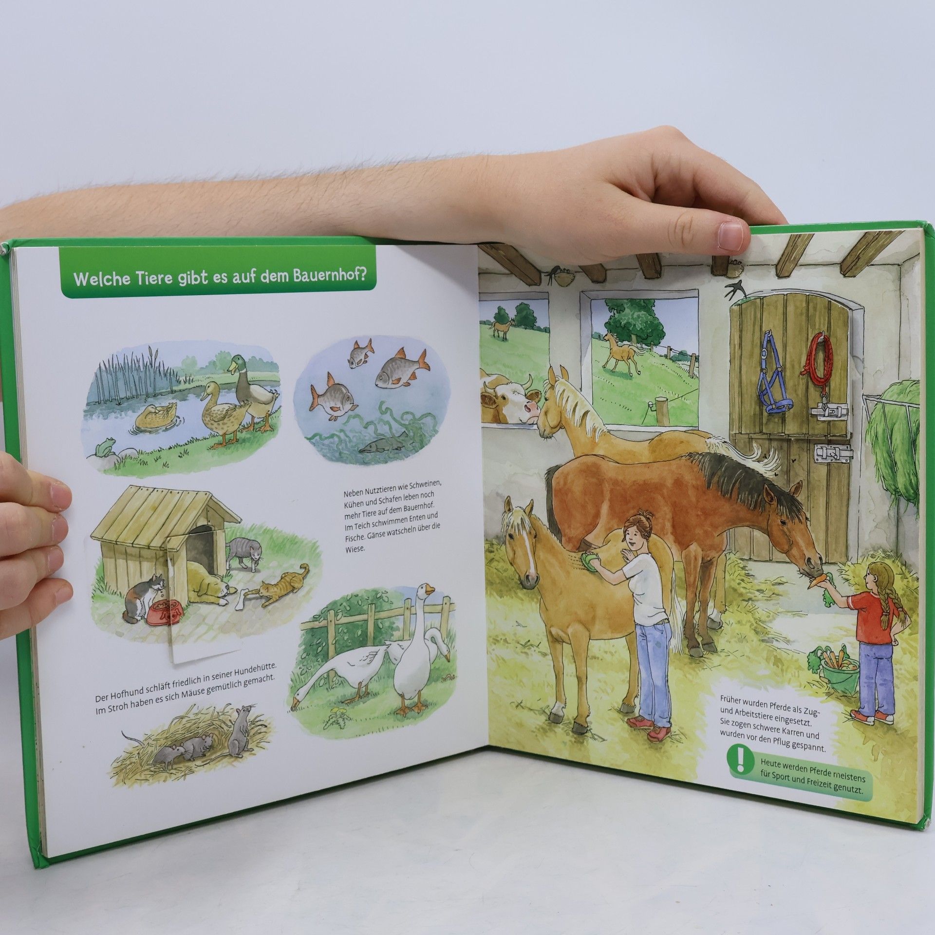 Andreas Gu de Das große Klappenbuch - auf dem Bauernhof