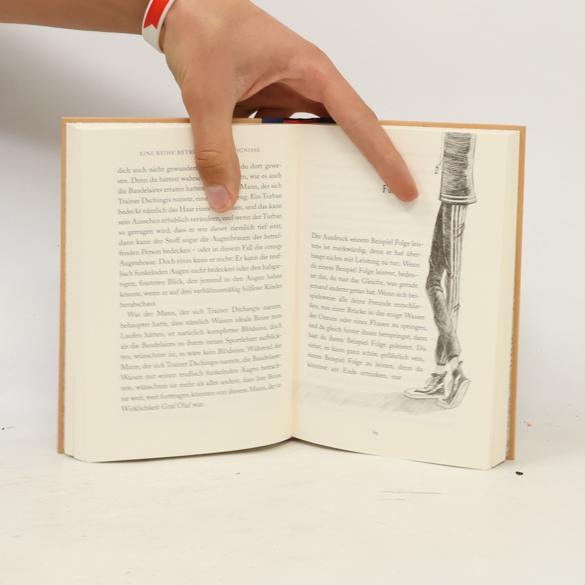 Lemony Snicket Eine Reihe betrüblicher Ereignisse. Die Schule des Schreckens