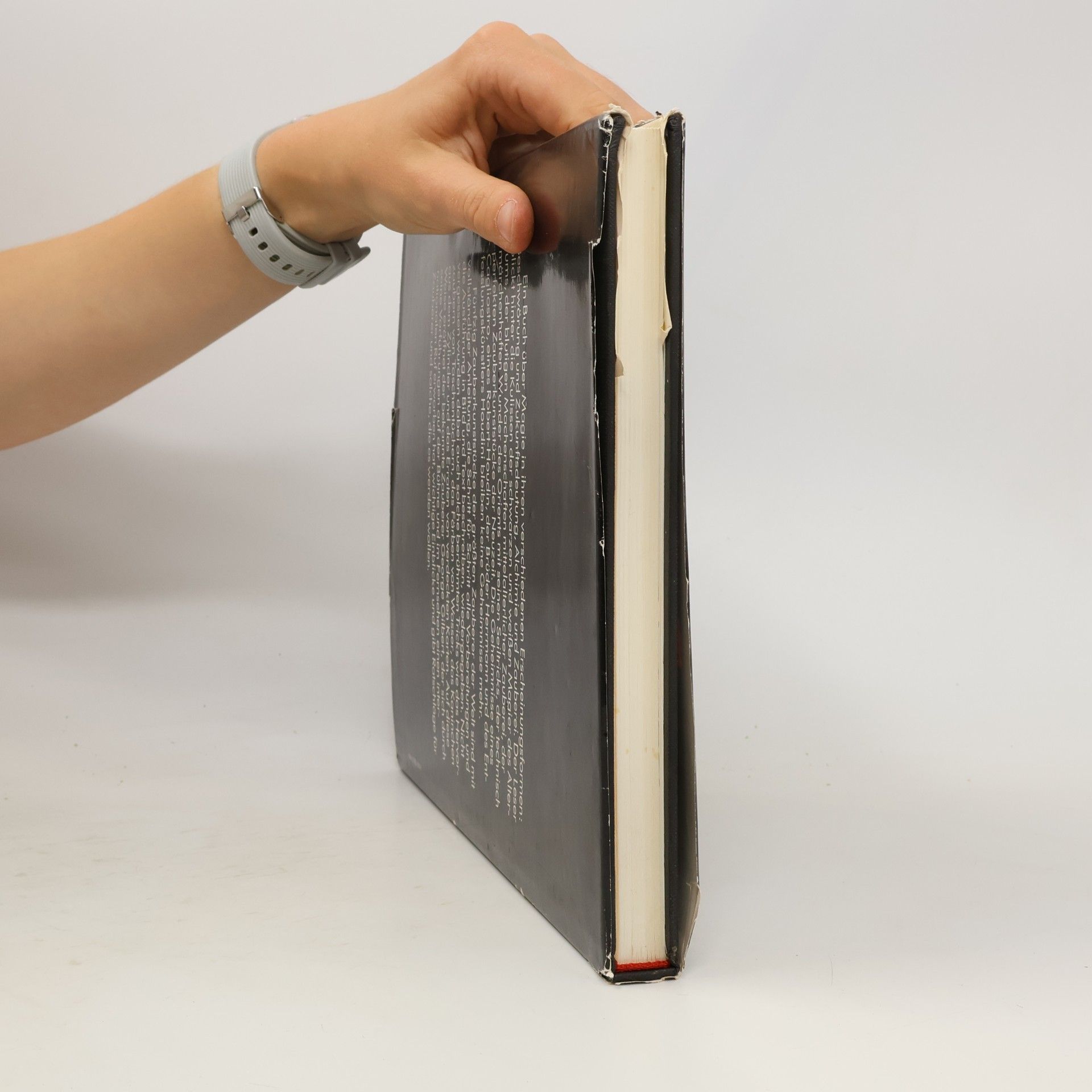 Wendy Rydell Das grosse Buch der magischen Kunst