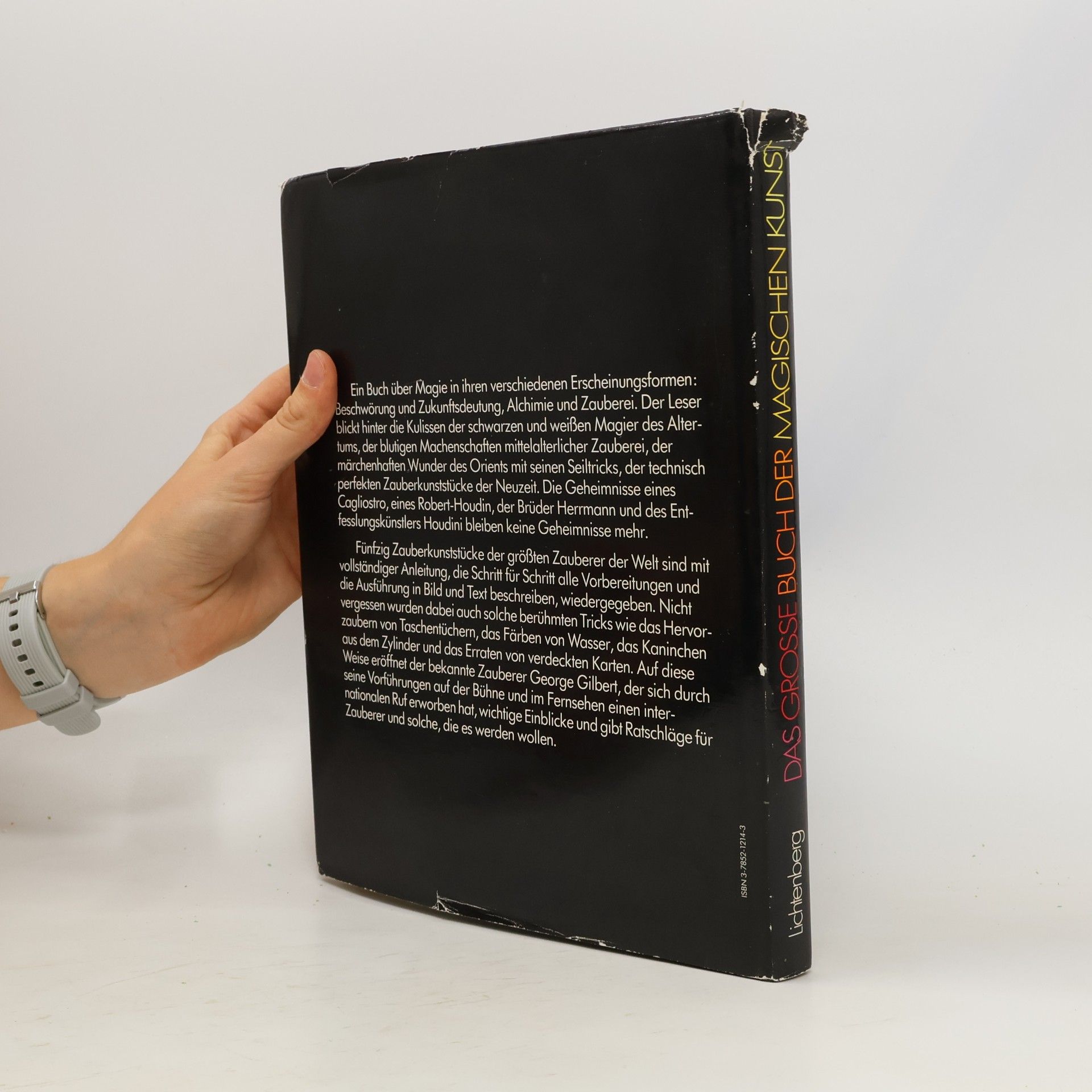 Wendy Rydell Das grosse Buch der magischen Kunst