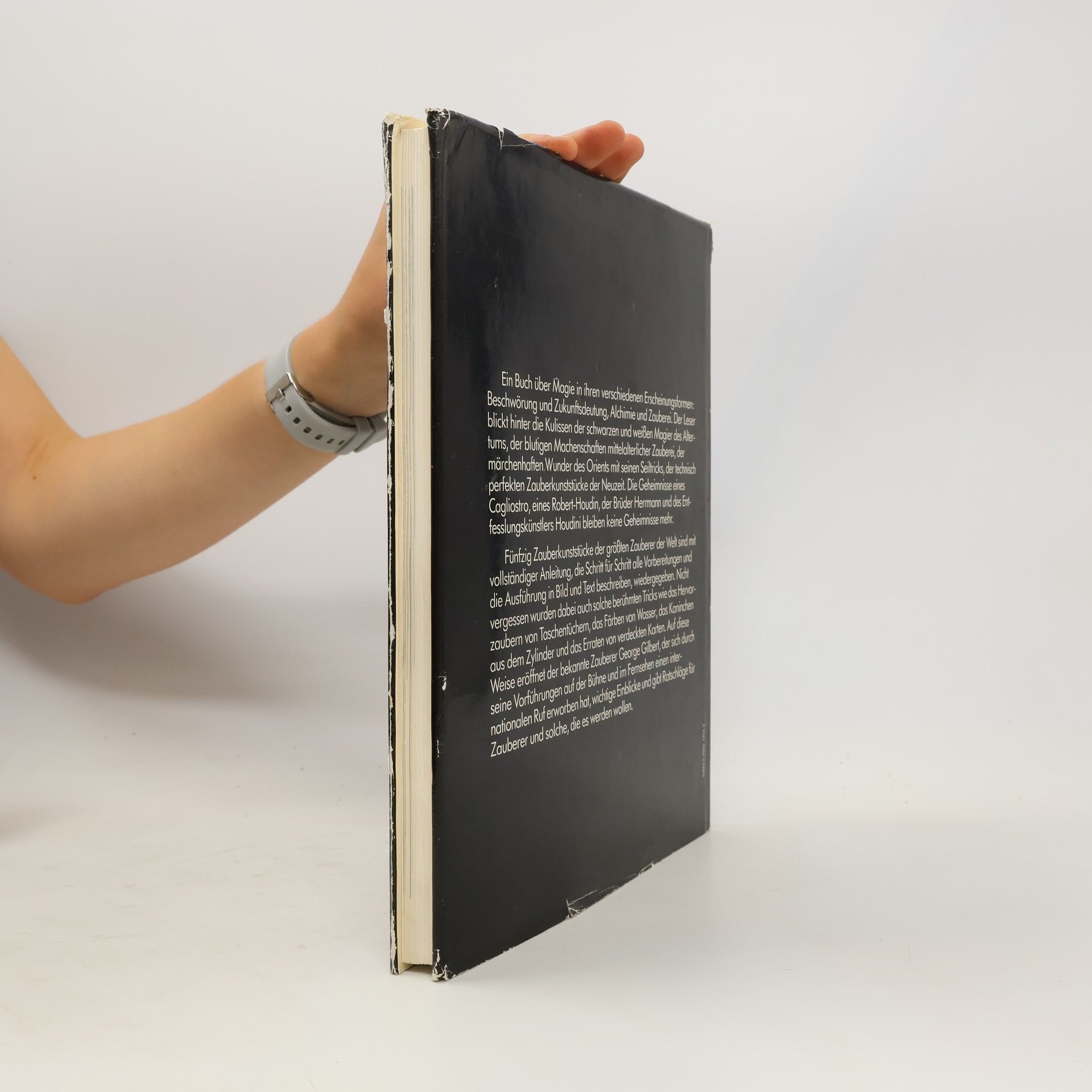 Wendy Rydell Das grosse Buch der magischen Kunst