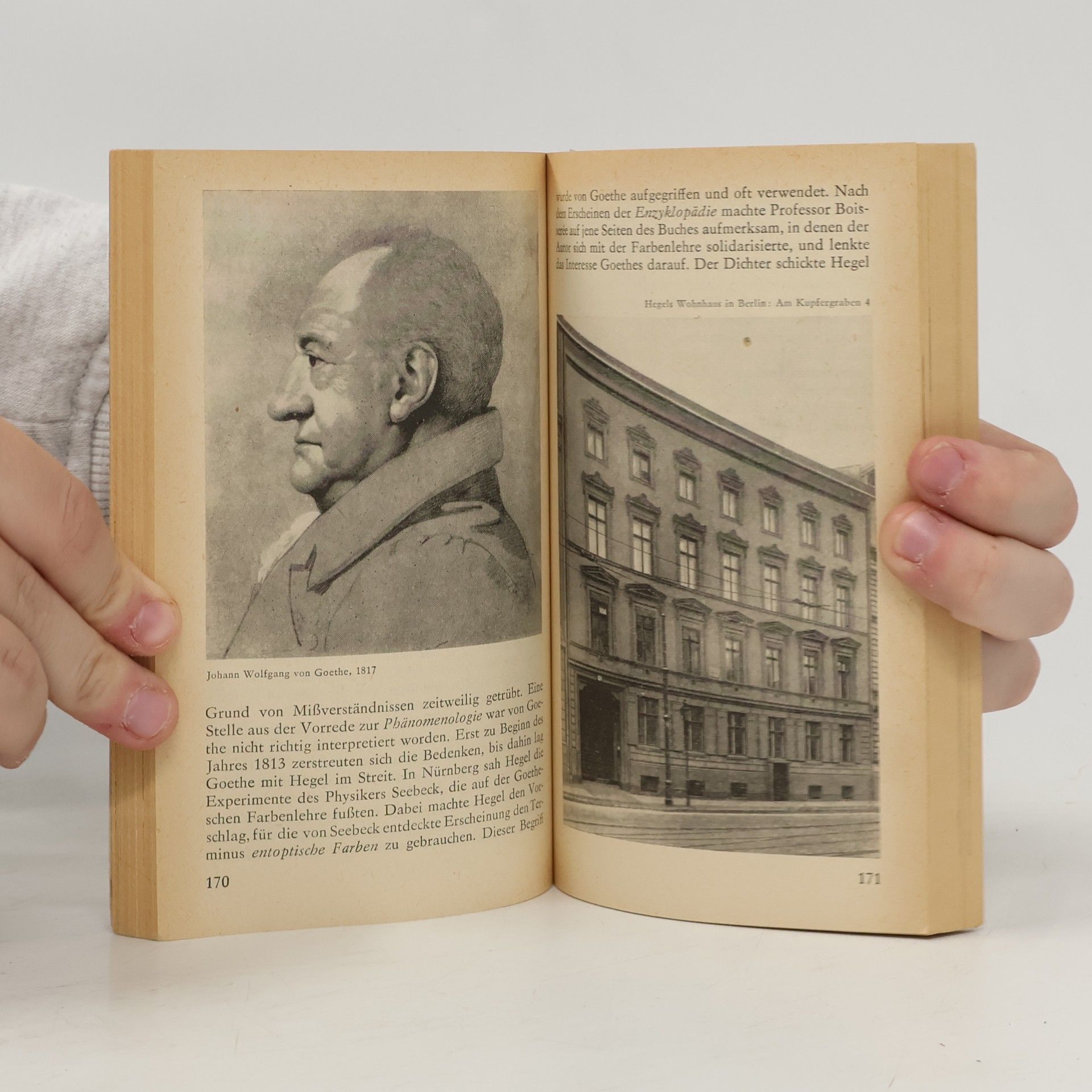 Arseni Gulyga Biografien Hegel