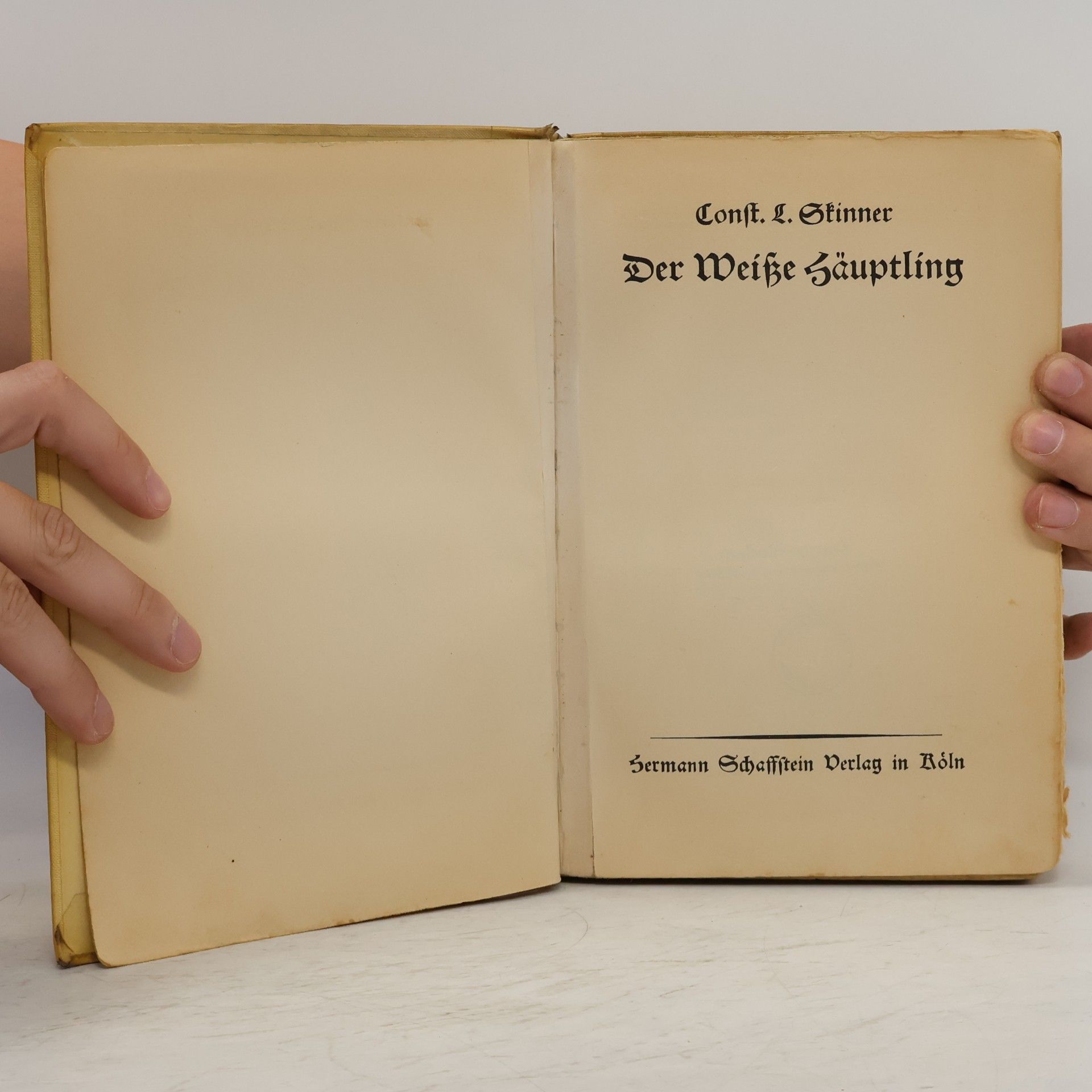 Constance Lindsay Skinner Der Weiße Häuptling