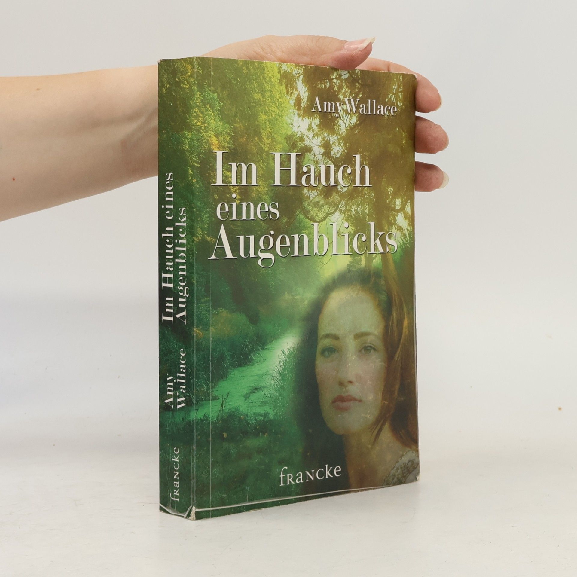 Silvia Lutz Im Hauch eines Augenblicks