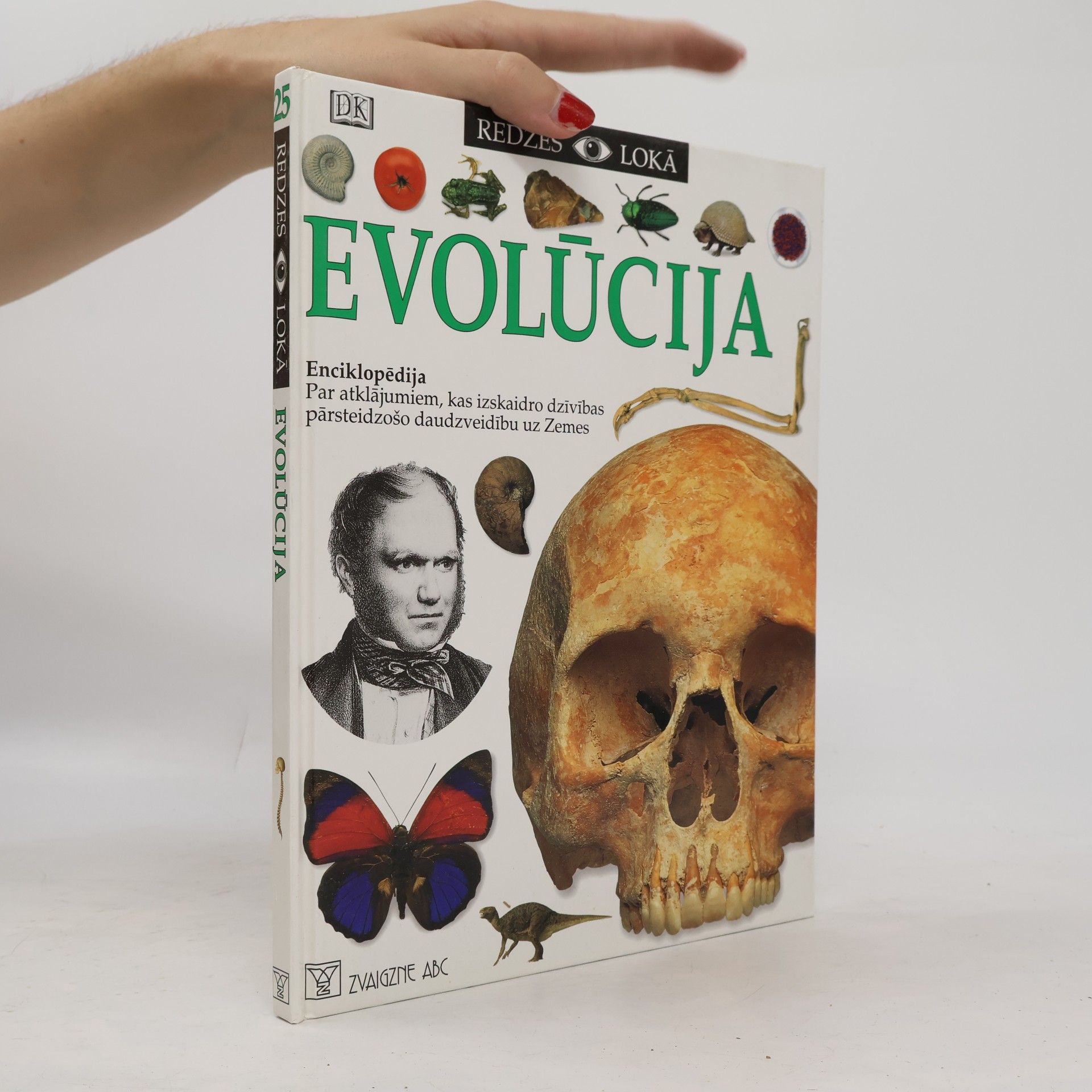 Linda Gemlina Evolūcija 25