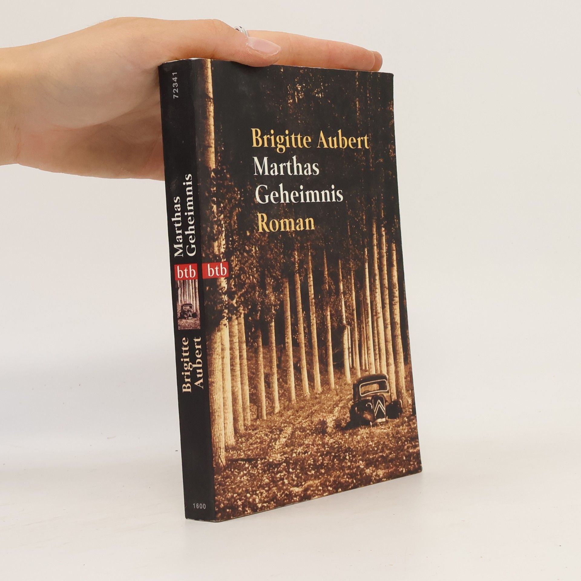 Brigitte Aubert Marthas Geheimnis