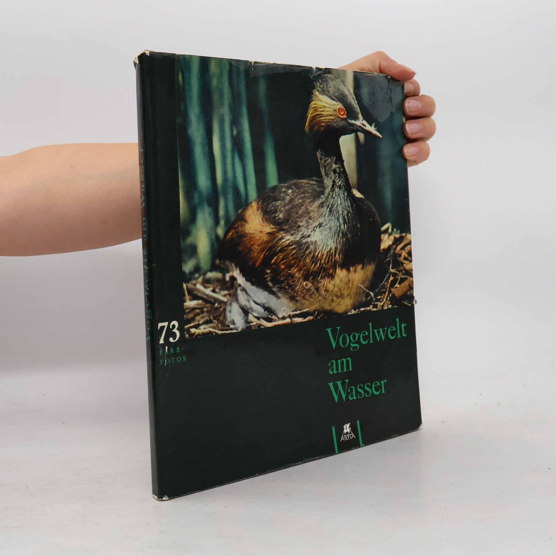Jan Jirásek Vogelwelt am Wasser