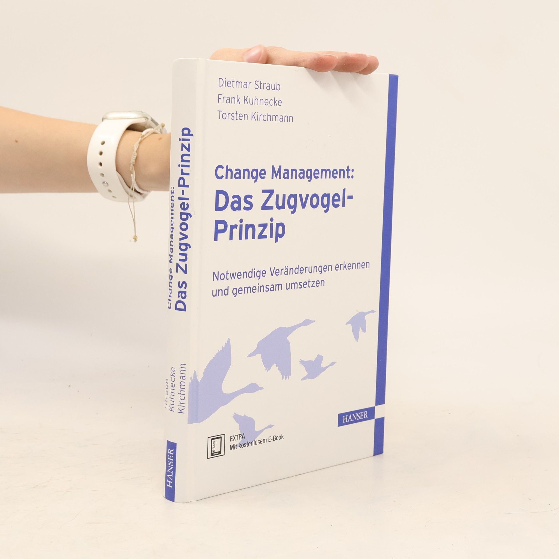 Dietmar Straub Change-Management: das Zugvogel-Prinzip