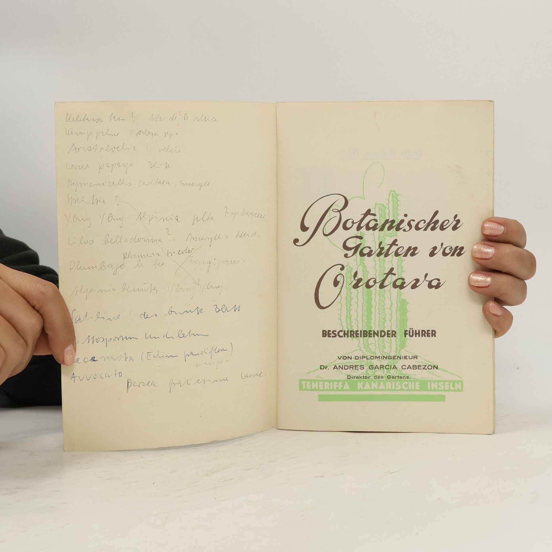 Andres García Cabezon Botanischer Garten von Orotava Teneriffa, Kanarische Inseln