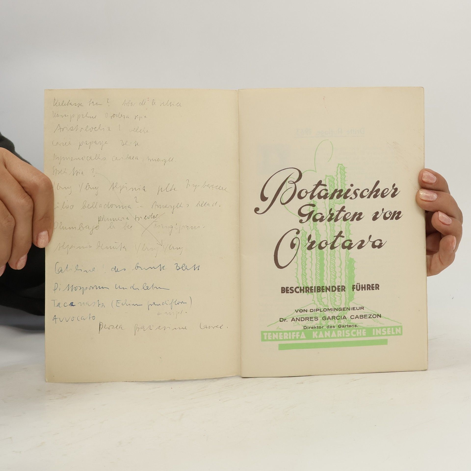Andres García Cabezon Botanischer Garten von Orotava Teneriffa, Kanarische Inseln