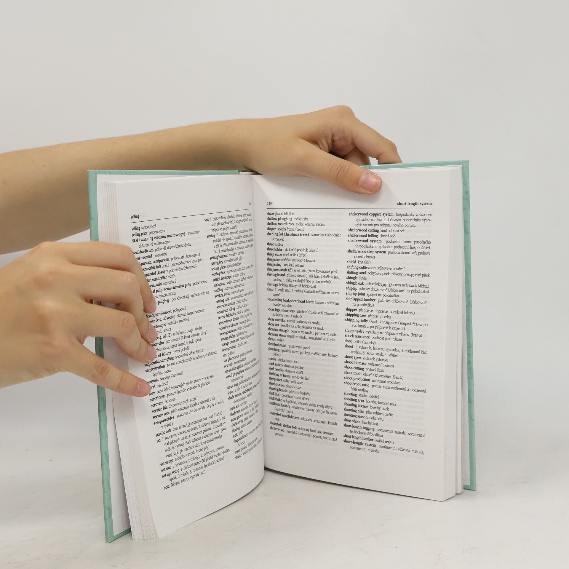 Bohuslav Horák Lesnický a dřevařský slovník anglicko-český a česko-anglický = Forestry and forest products dictionary English-Czech and Czech-English