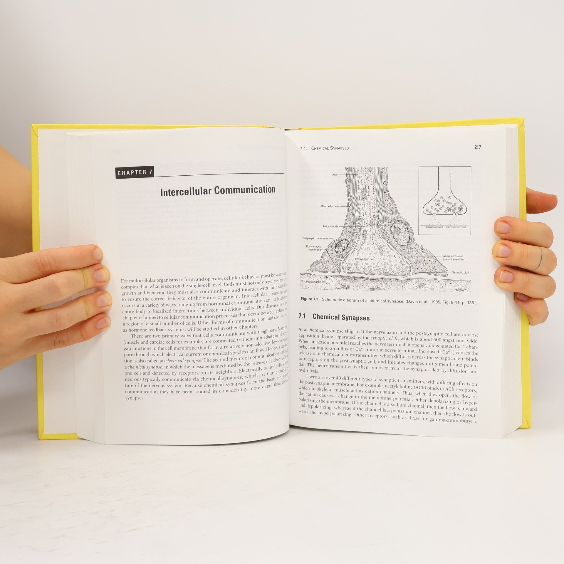 James P. Keener Interdisciplinary Applied Mathematics: Mathematical Physiology